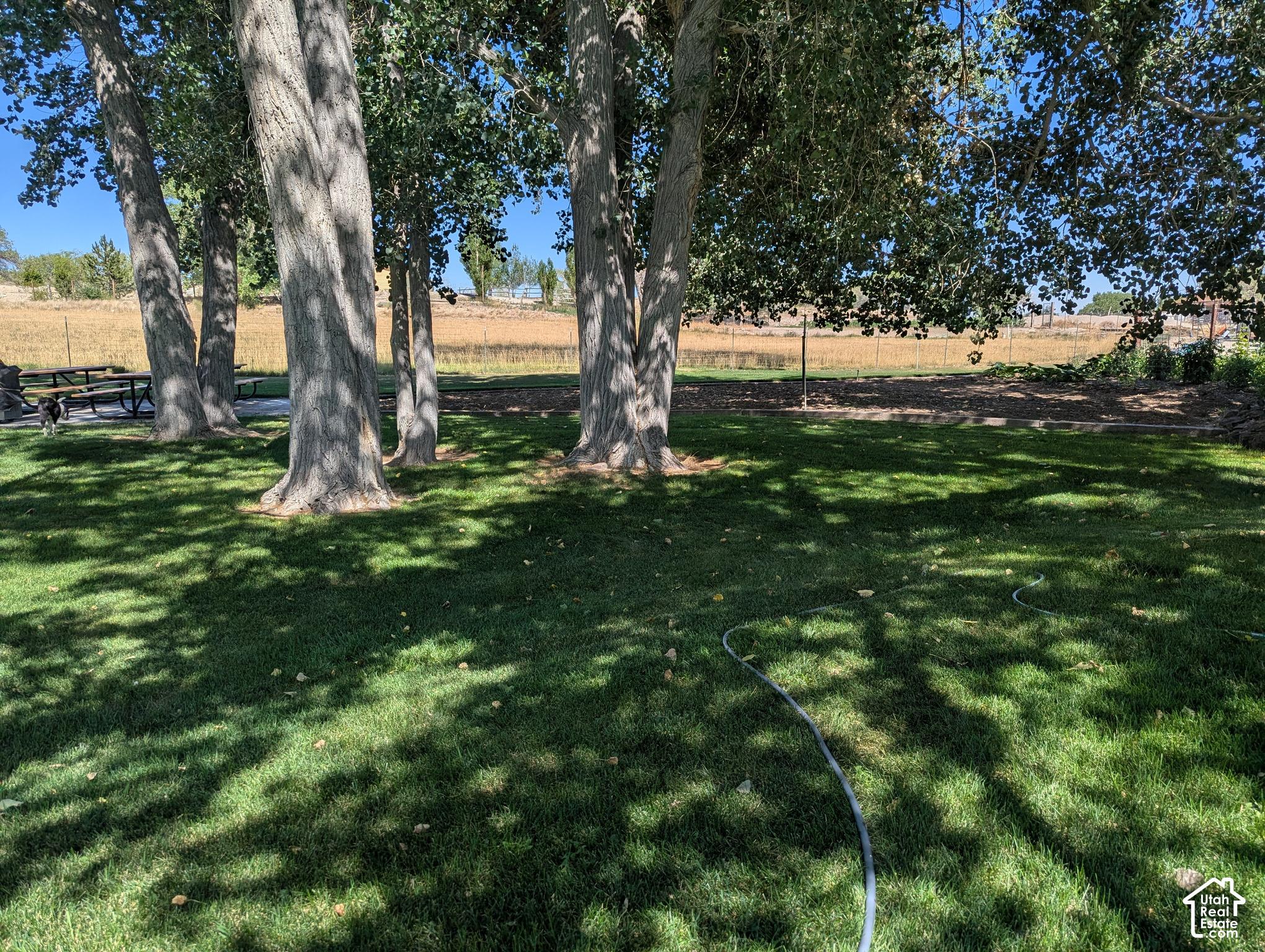 main property photo 78