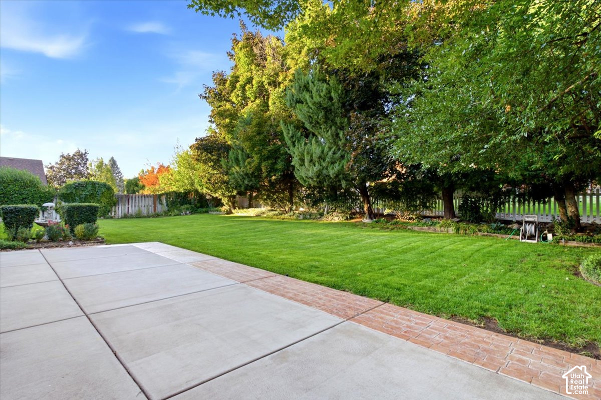 main property photo 38