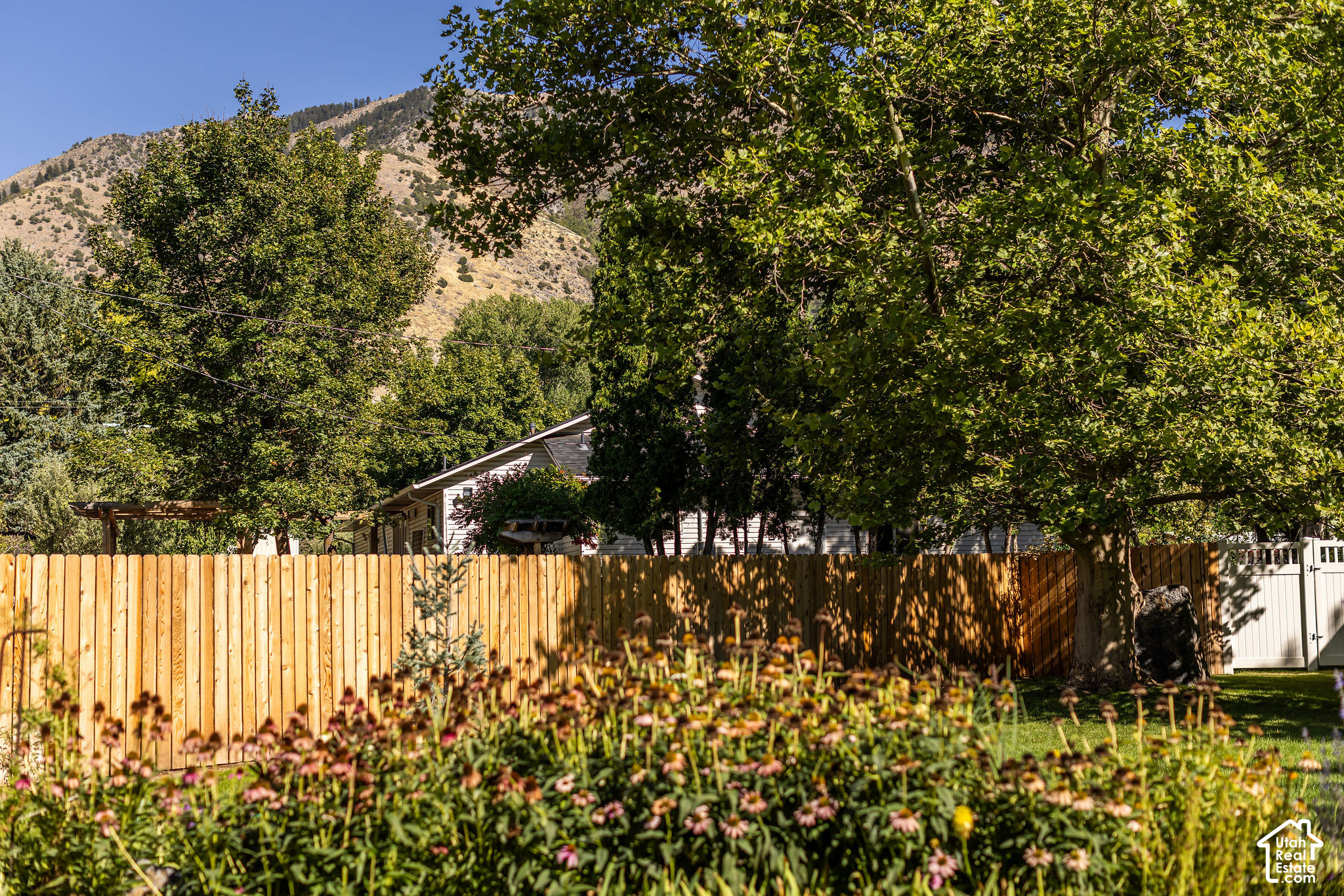 main property photo 79