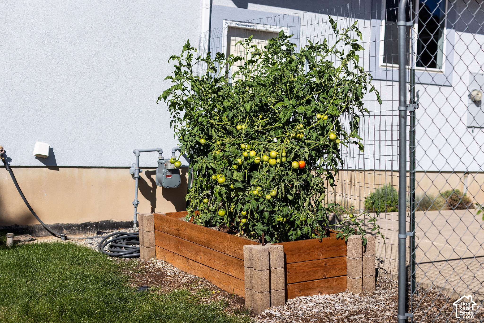 main property photo 81