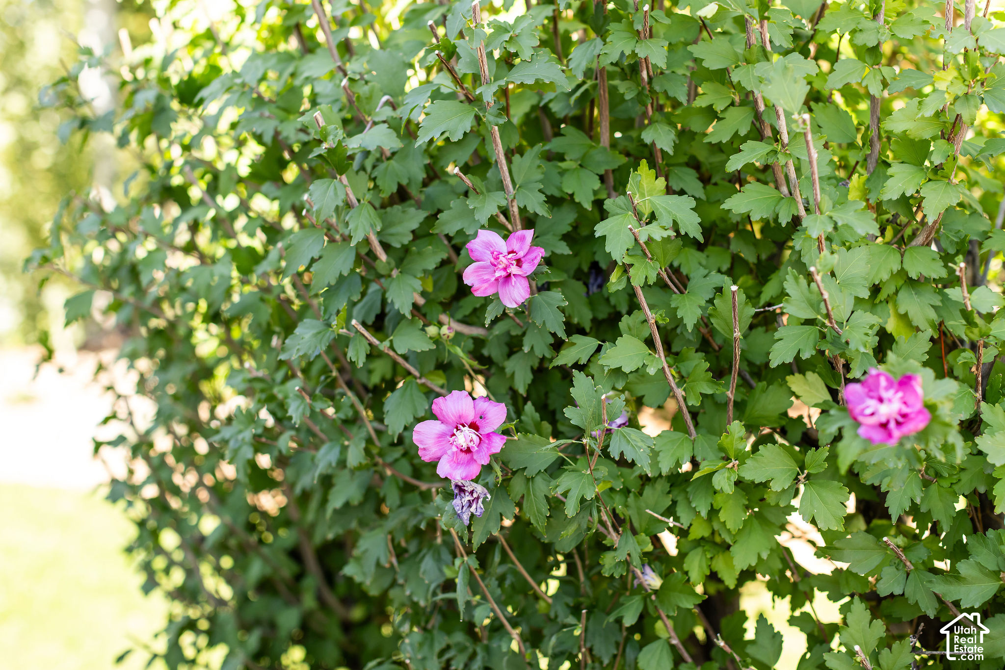 main property photo 83