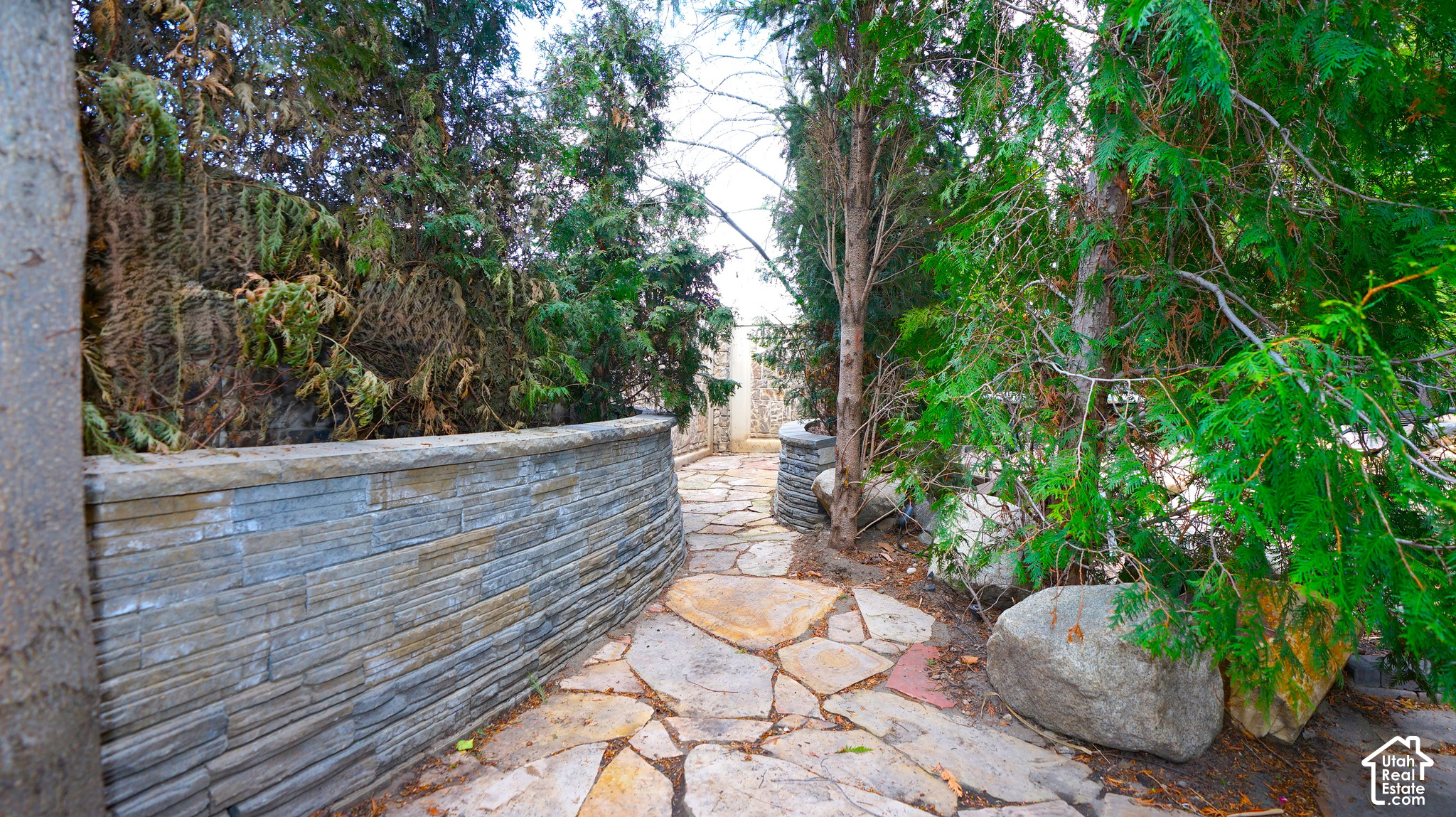 main property photo 61