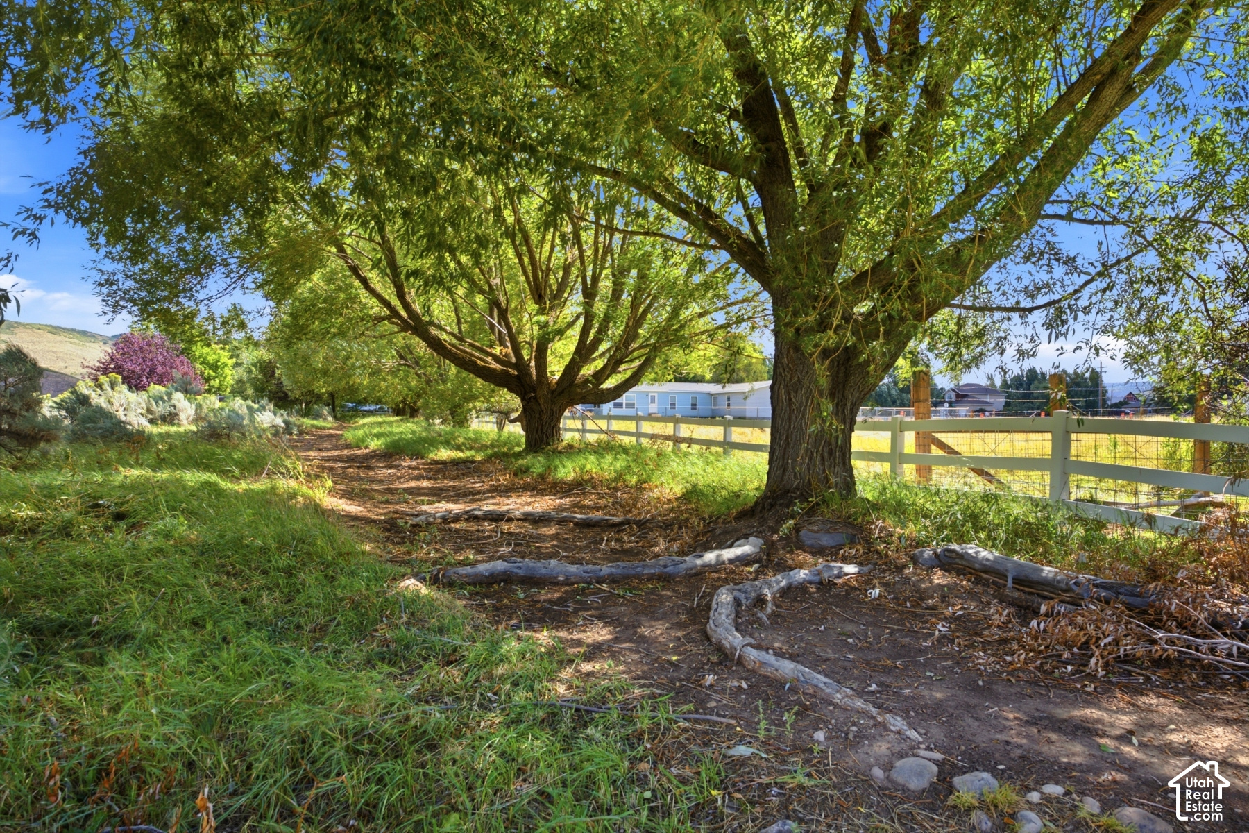 main property photo 61