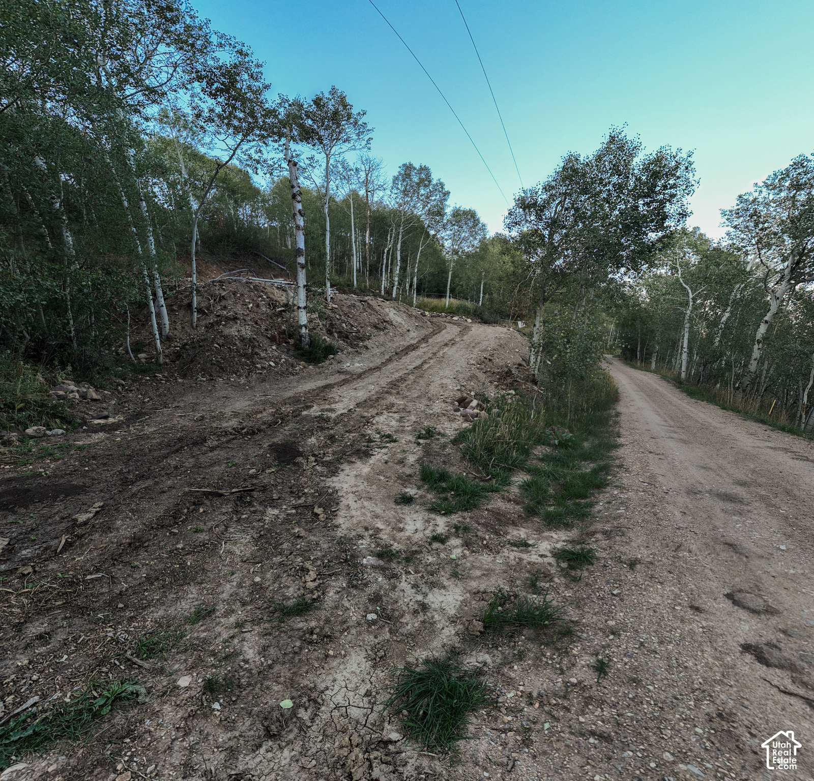 main property photo 11