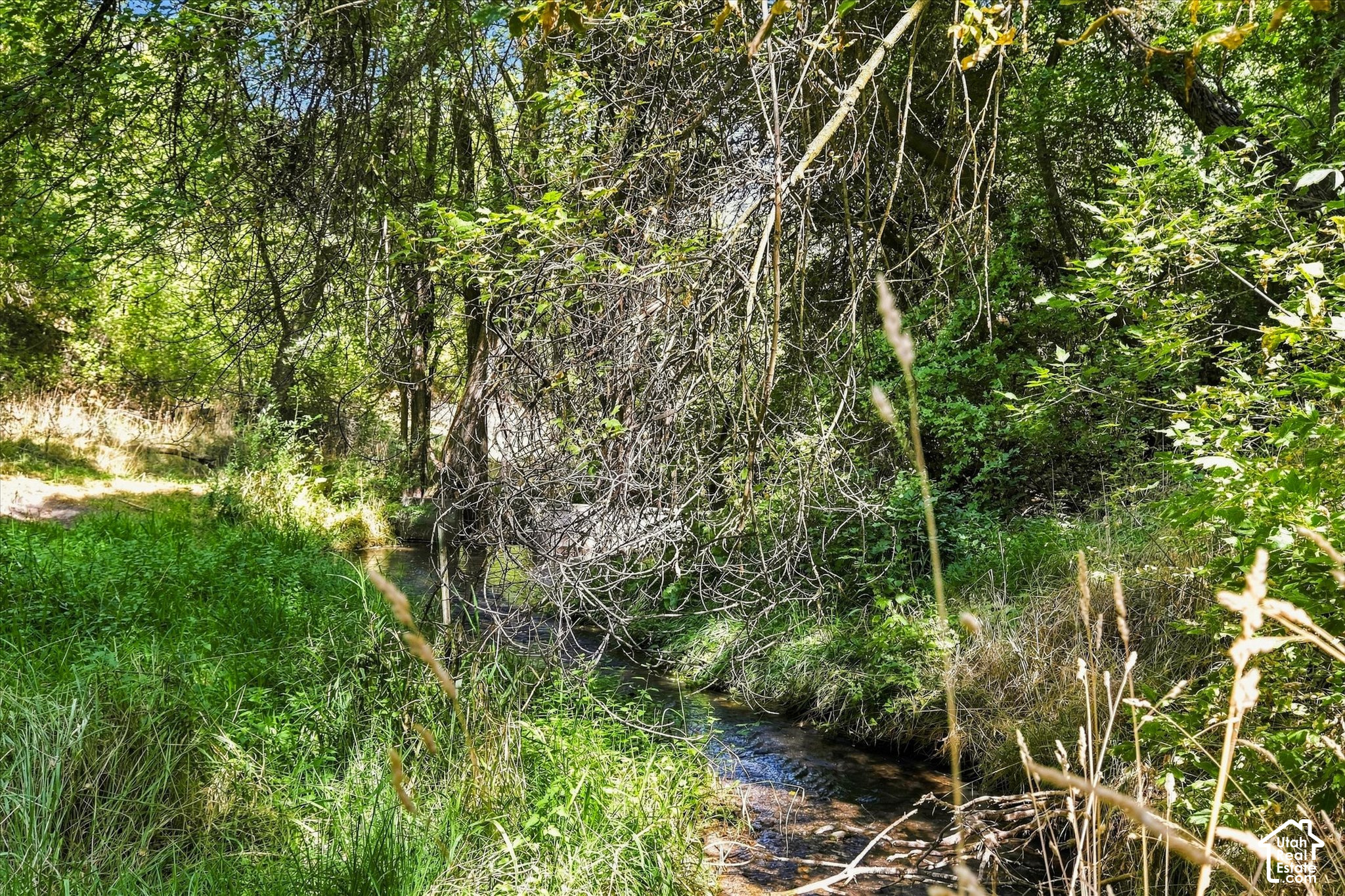 main property photo 54