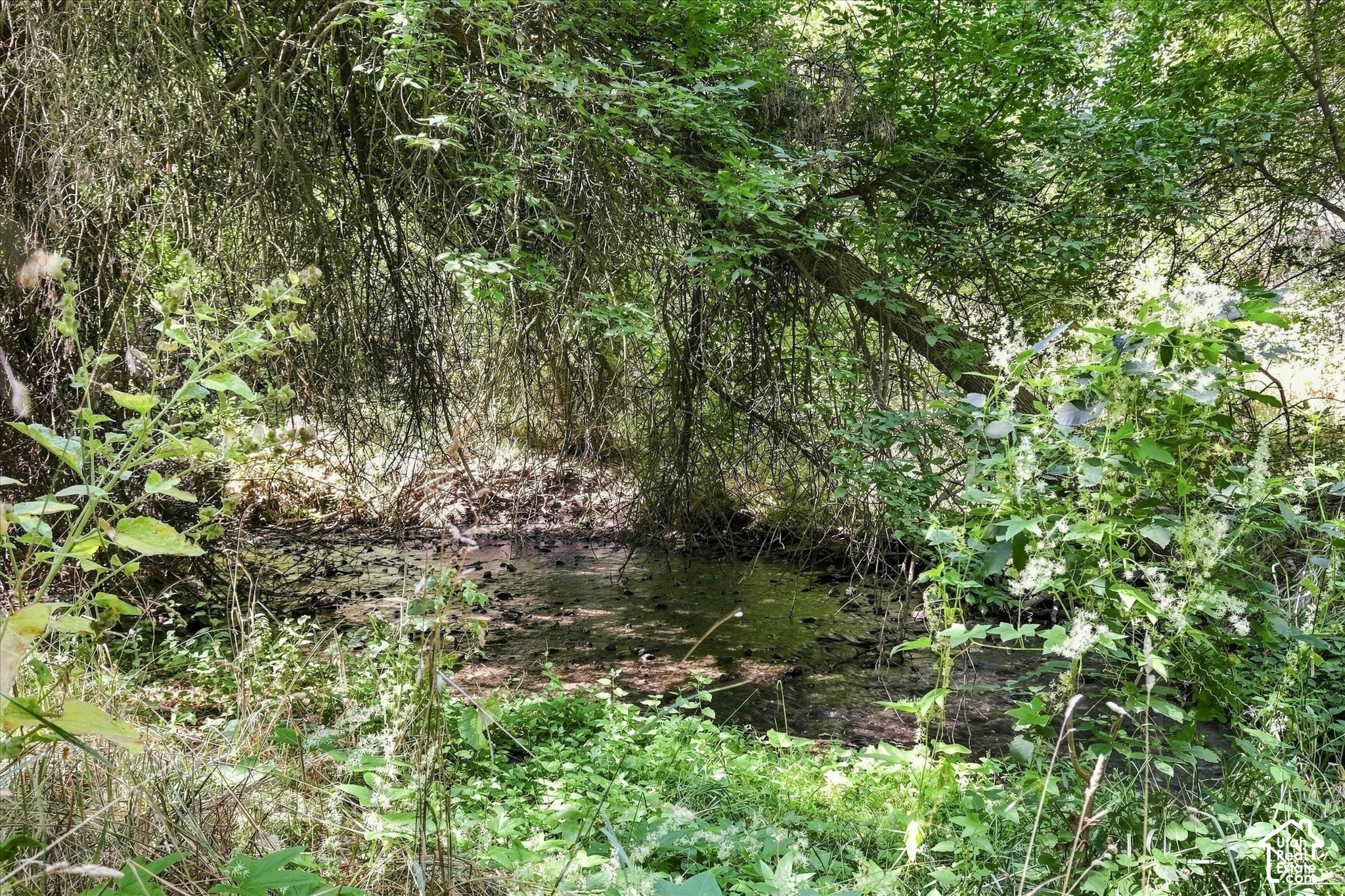main property photo 62