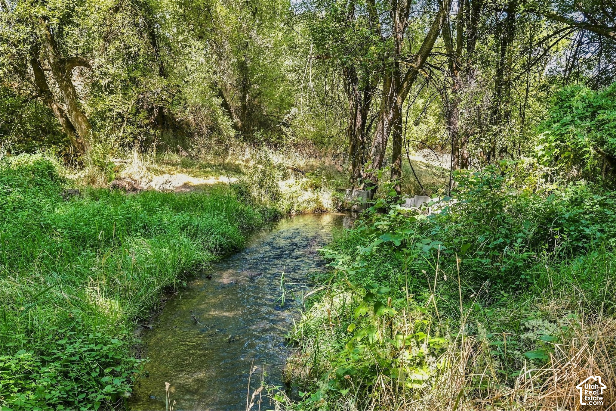 main property photo 63
