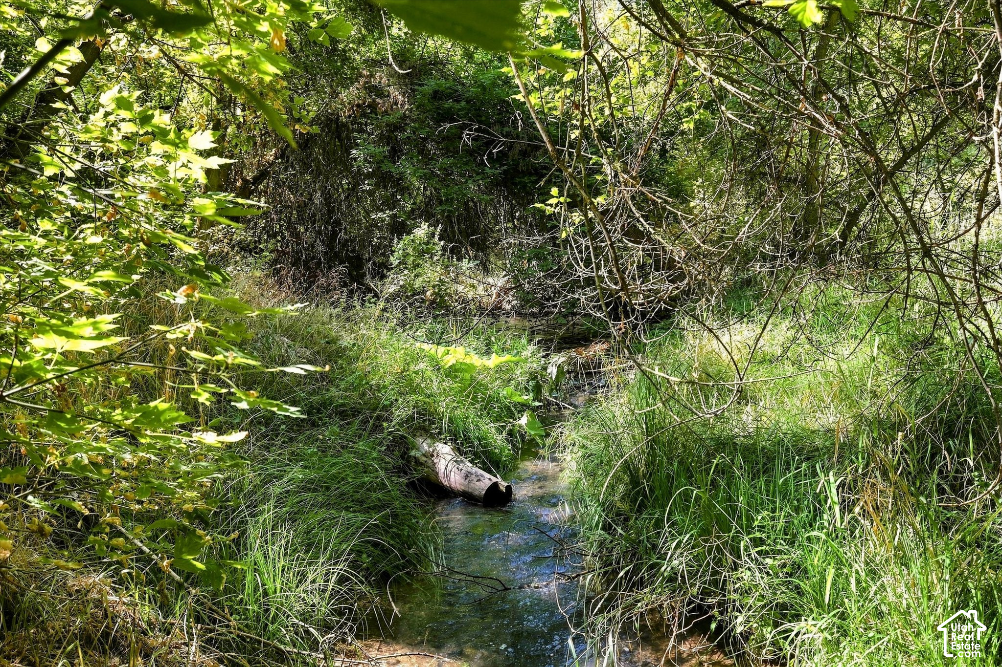 main property photo 64