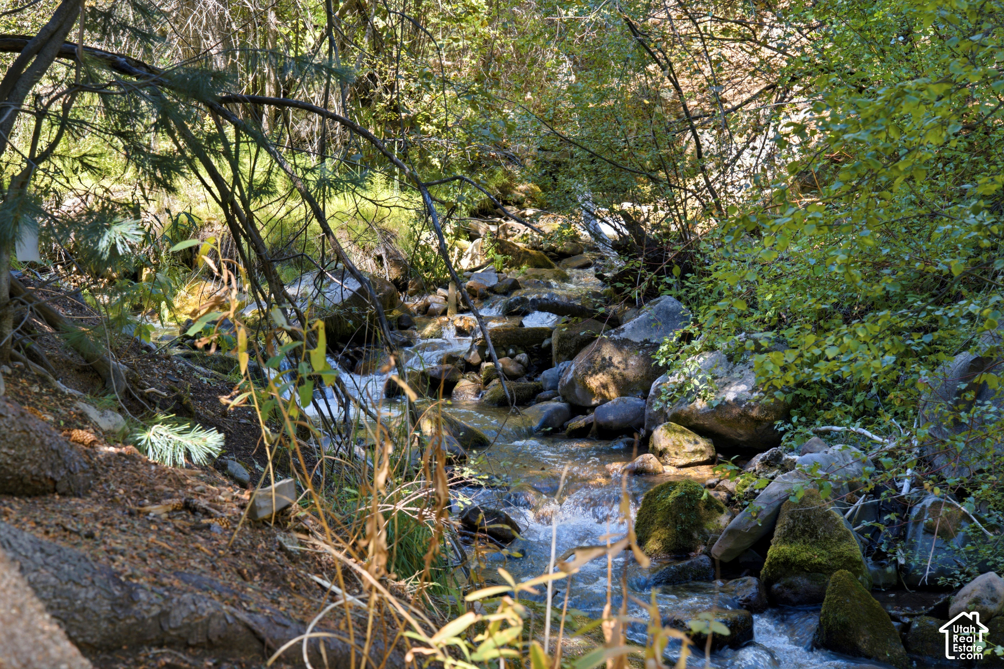 main property photo 26