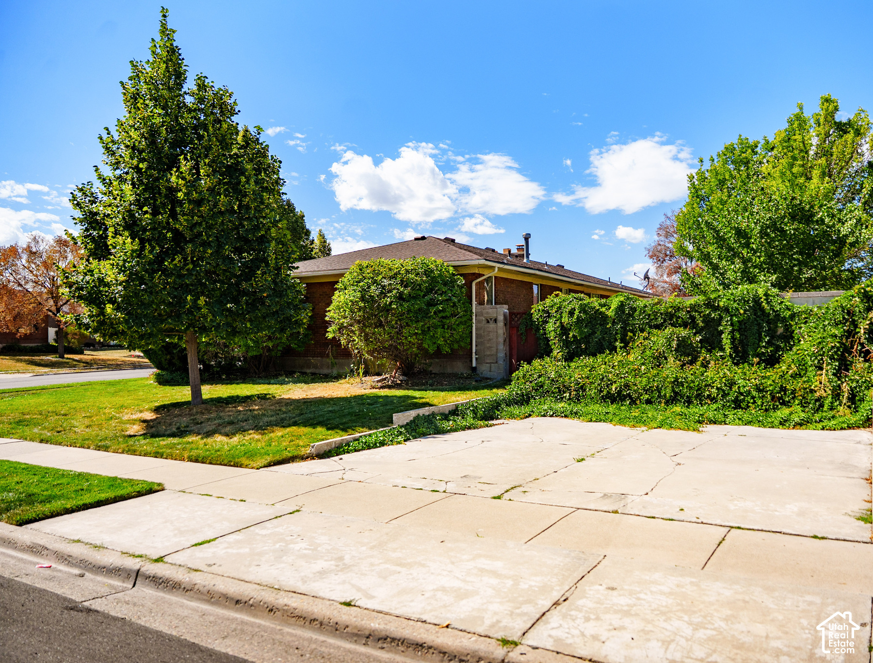 main property photo 48