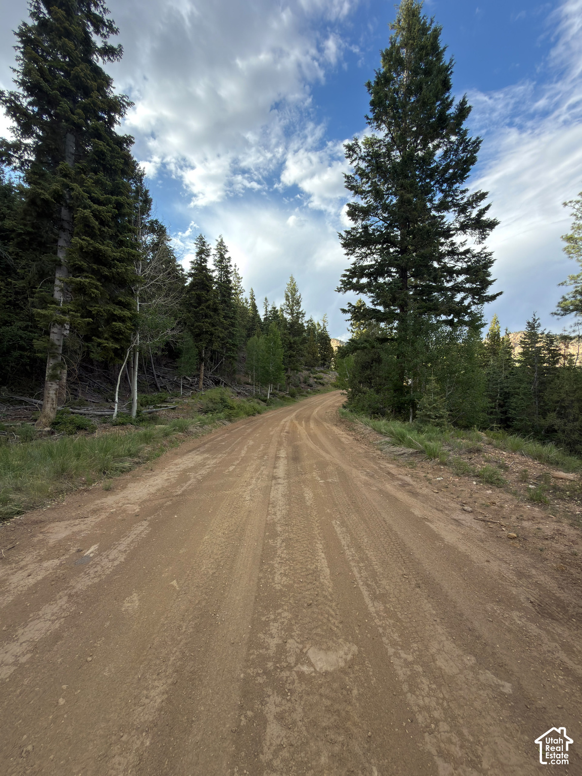 main property photo 10