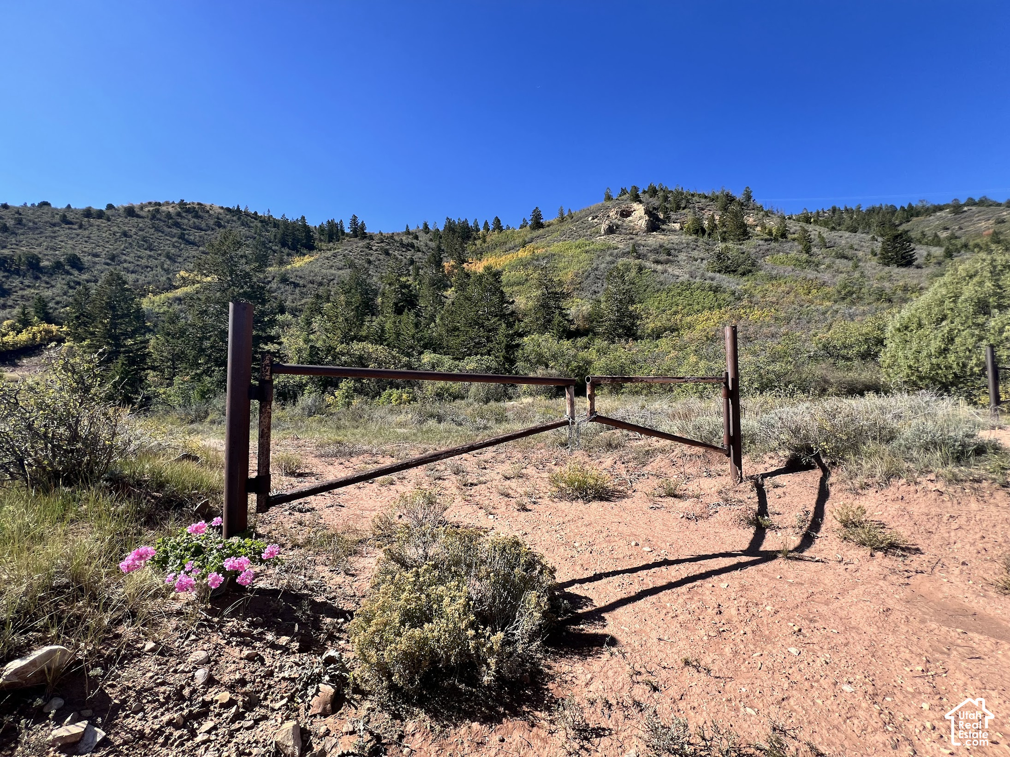 main property photo 0