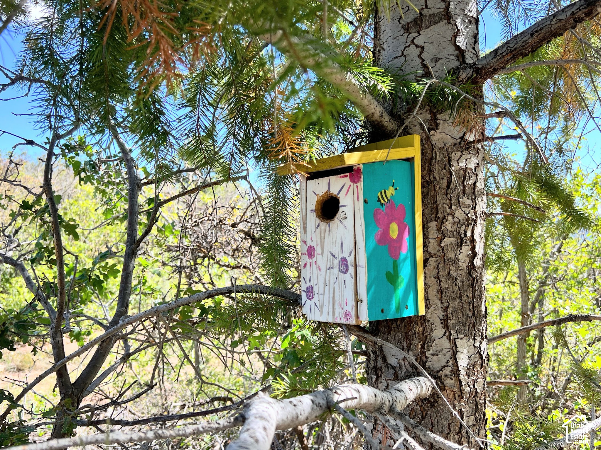 main property photo 10