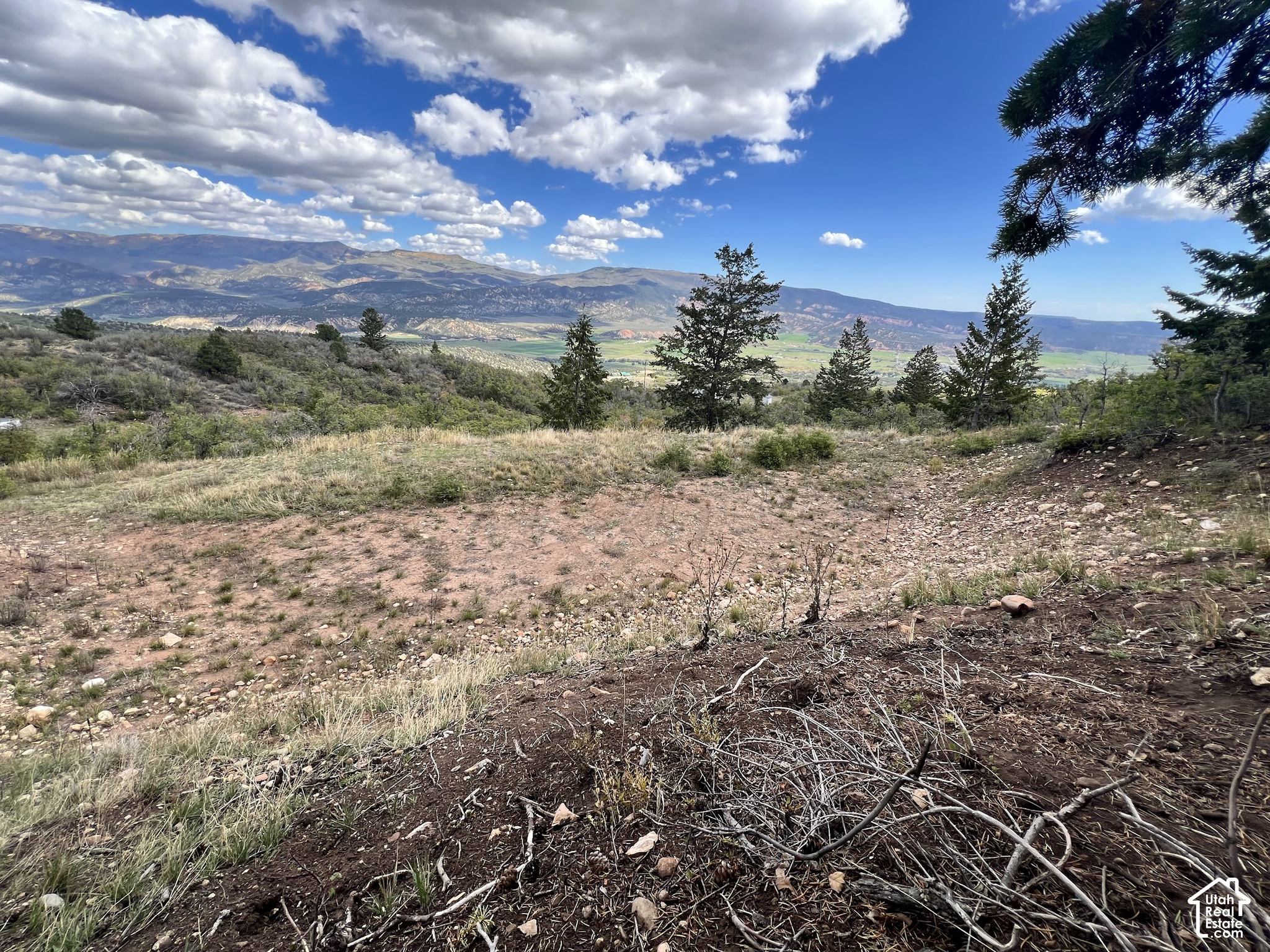 main property photo 21