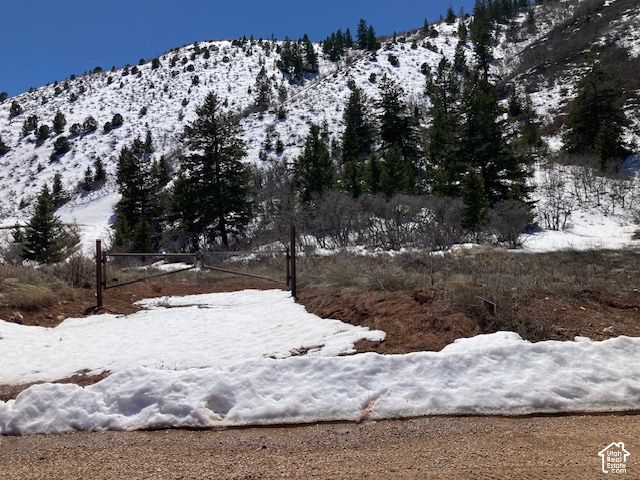 main property photo 33