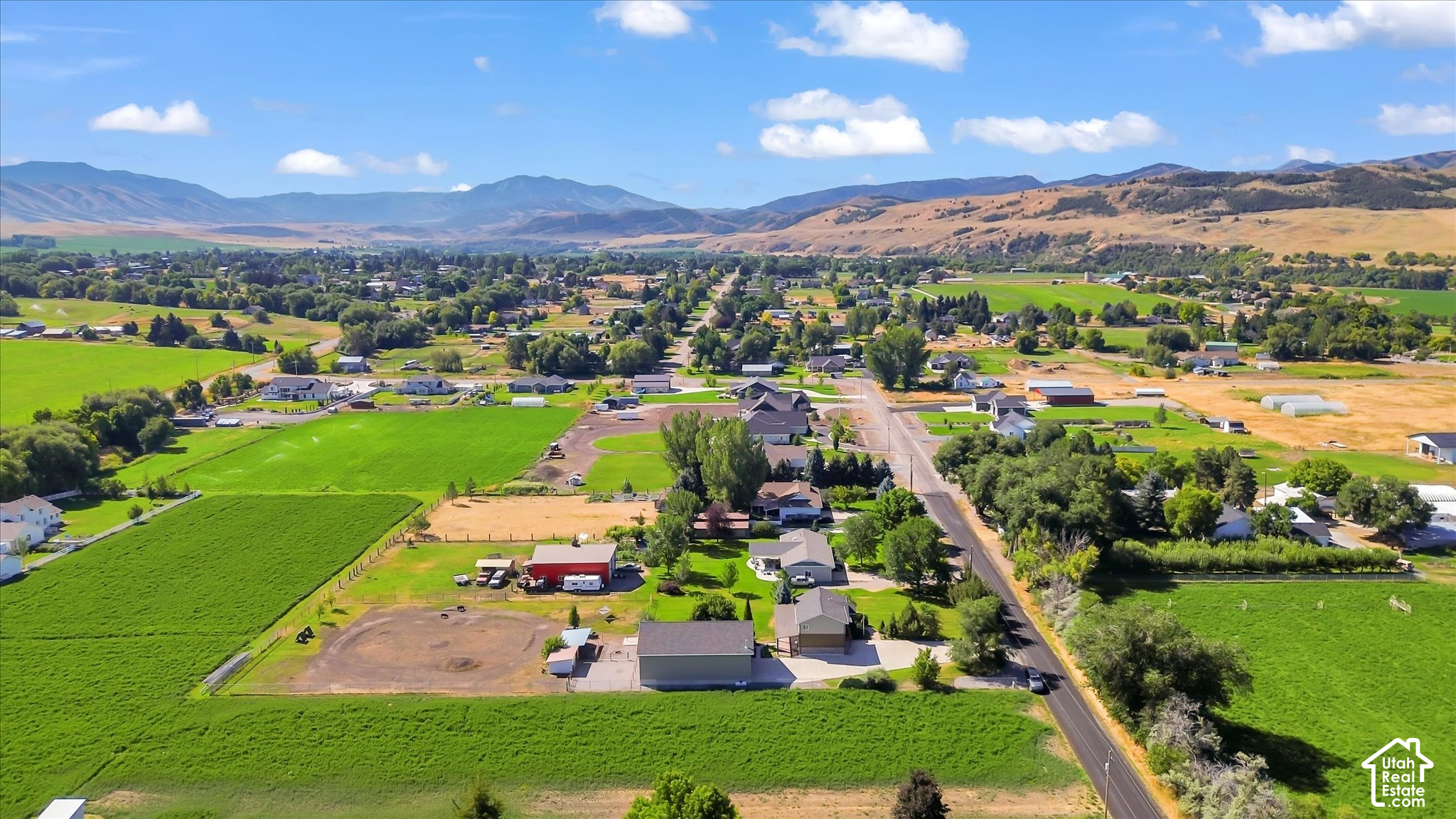 main property photo 43