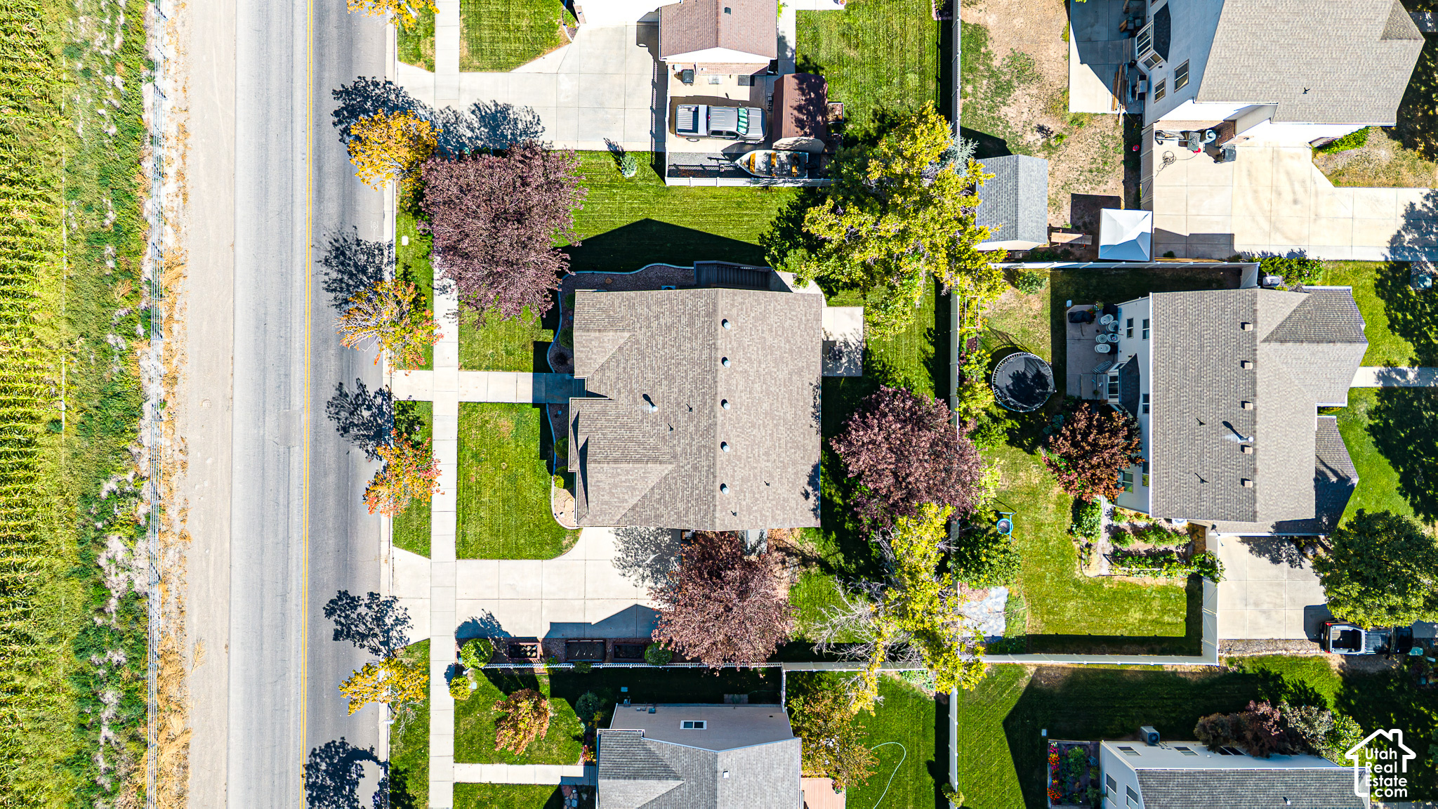 main property photo 42