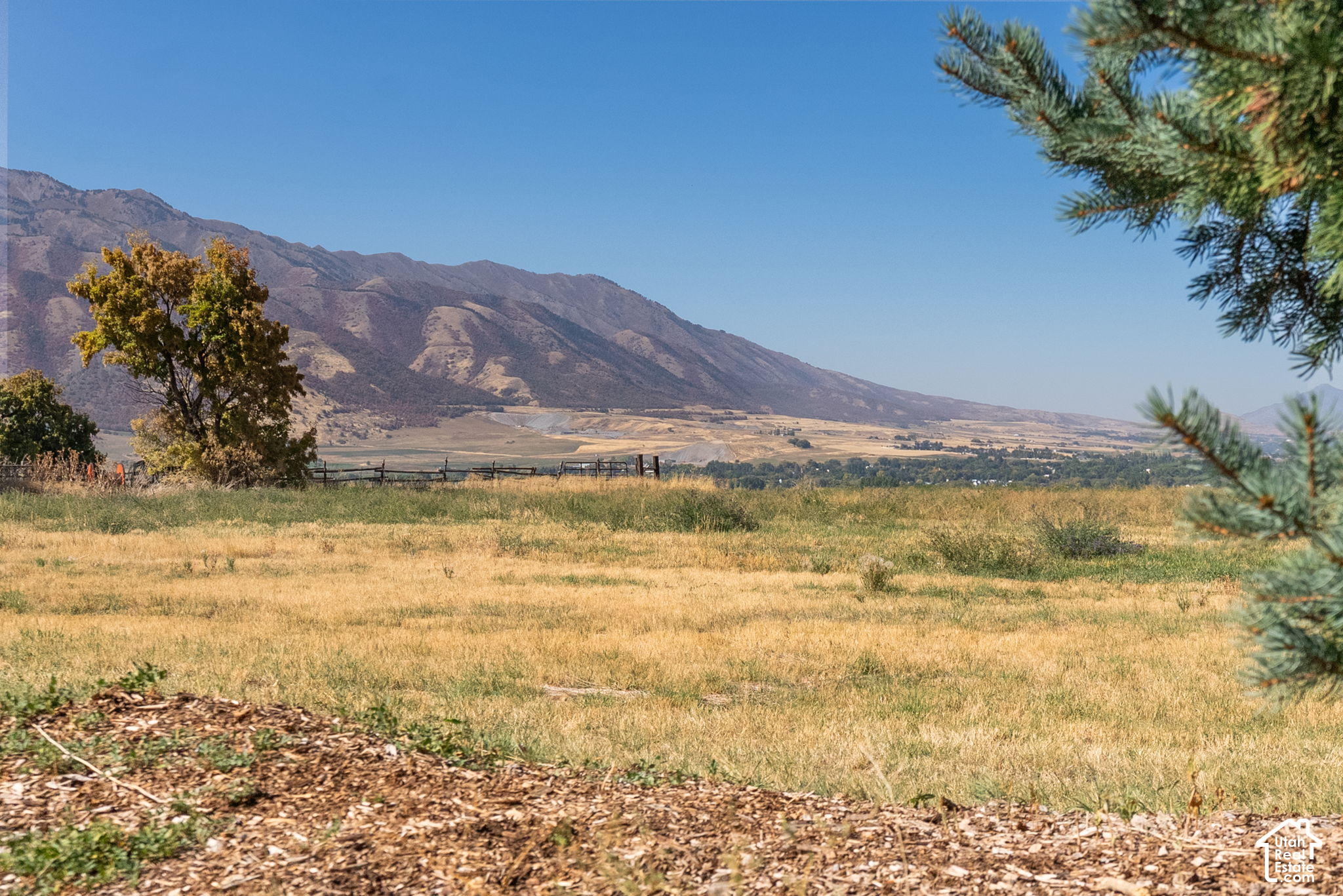 main property photo 47