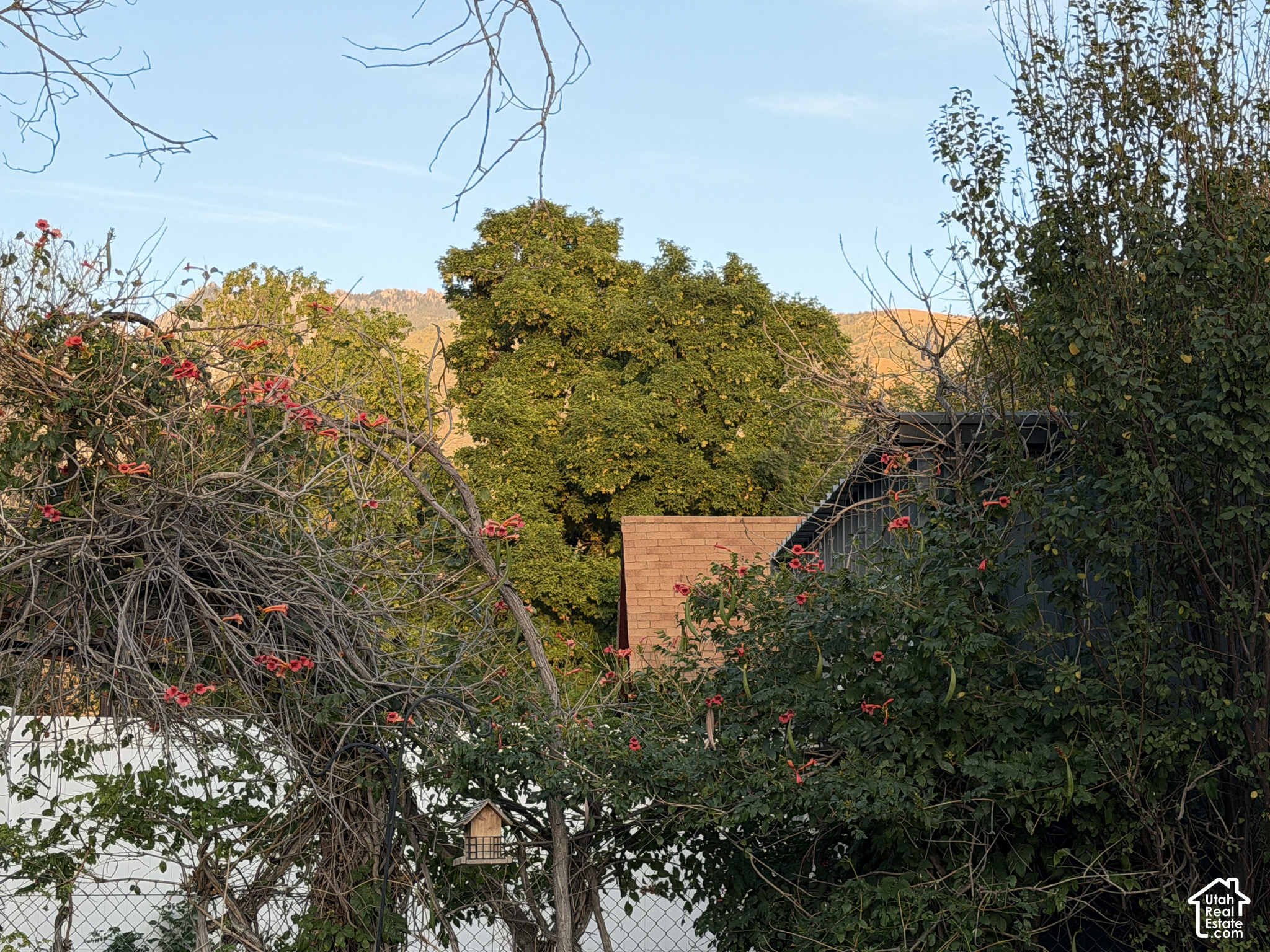 main property photo 56