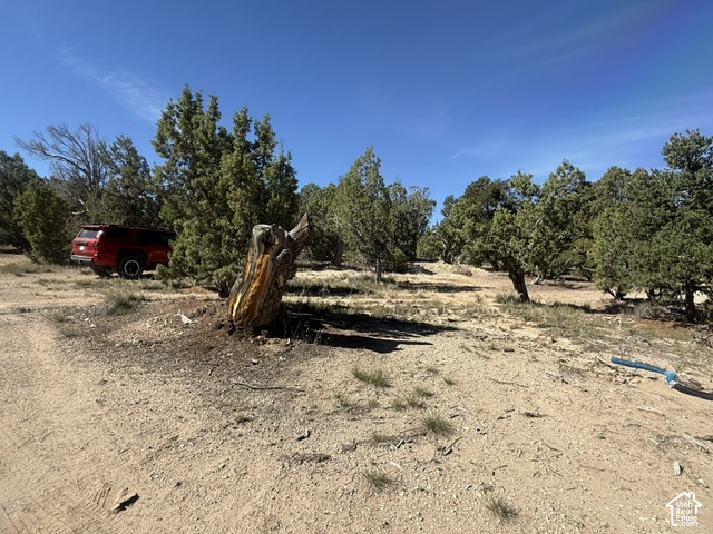 main property photo 51