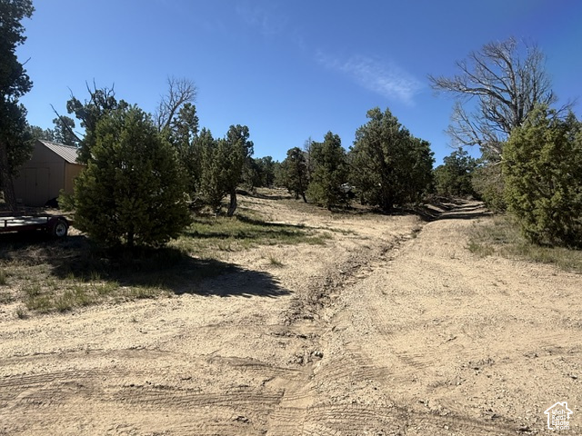 main property photo 53