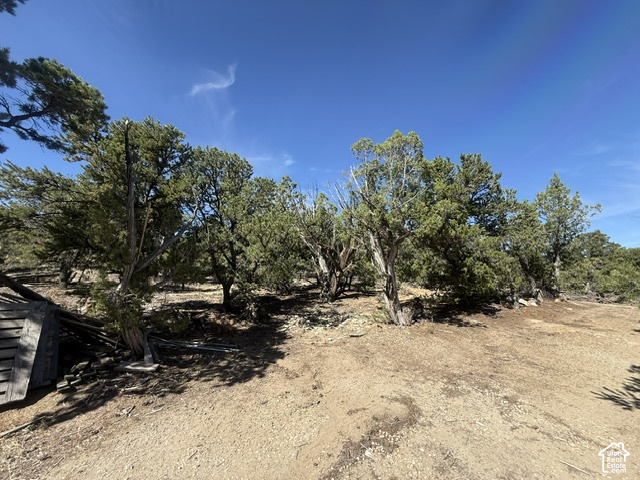 main property photo 66