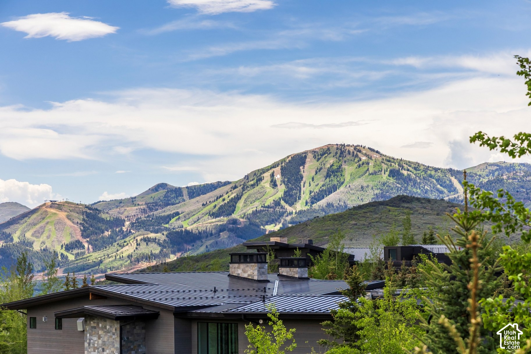 main property photo 101
