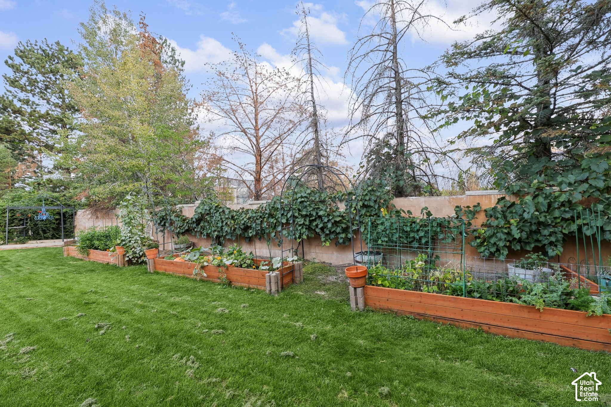 main property photo 43