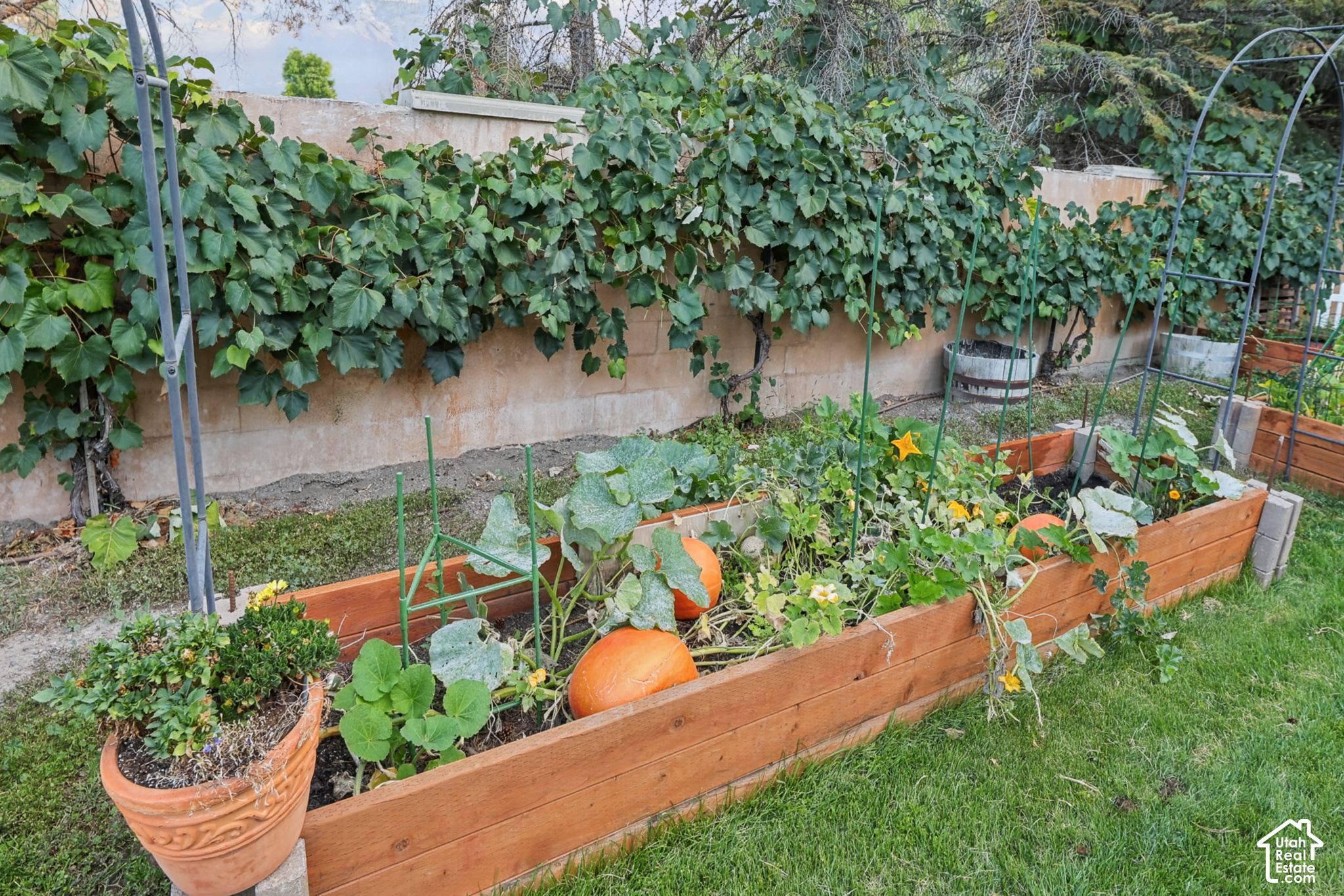 main property photo 44