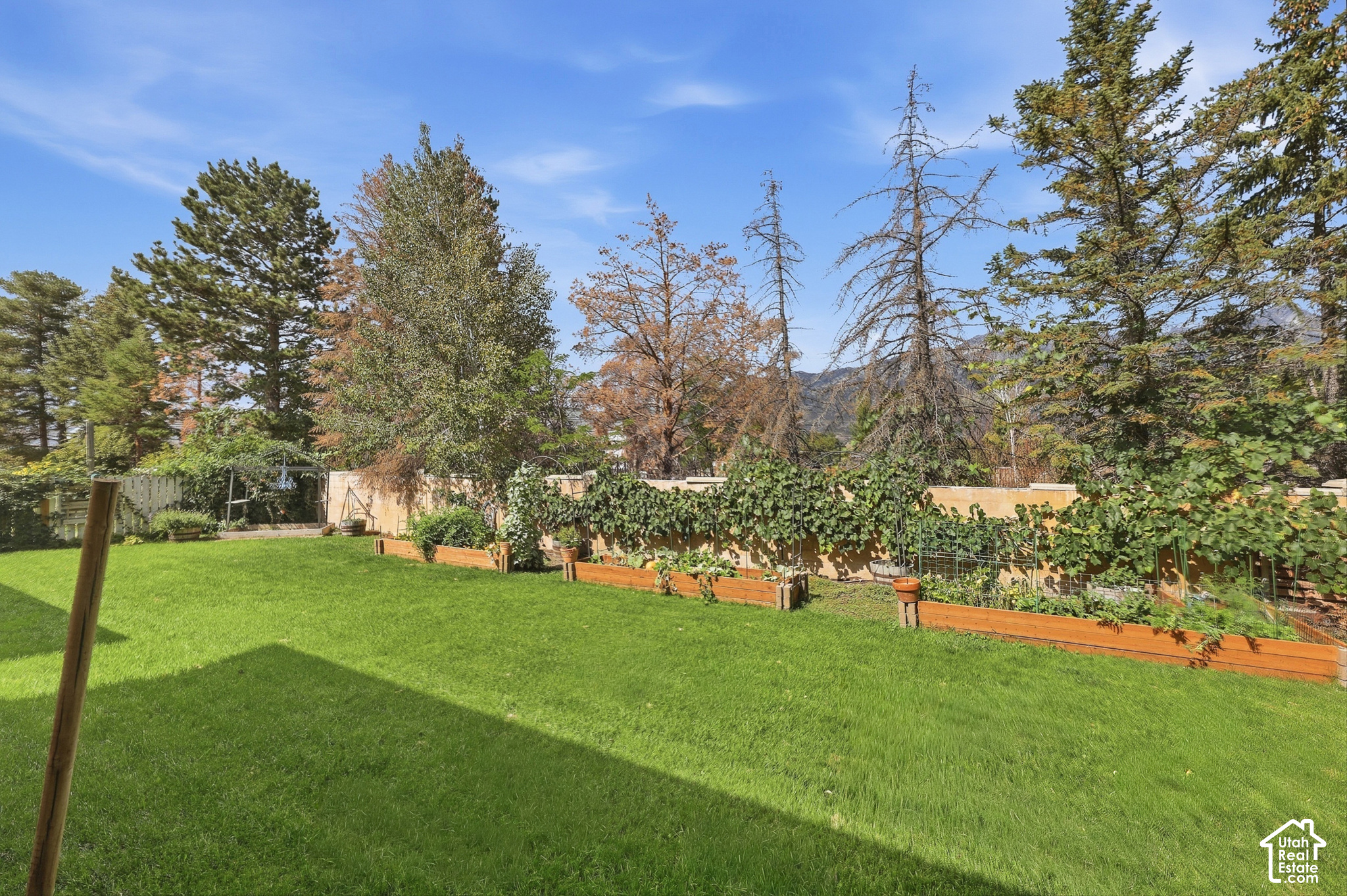 main property photo 57