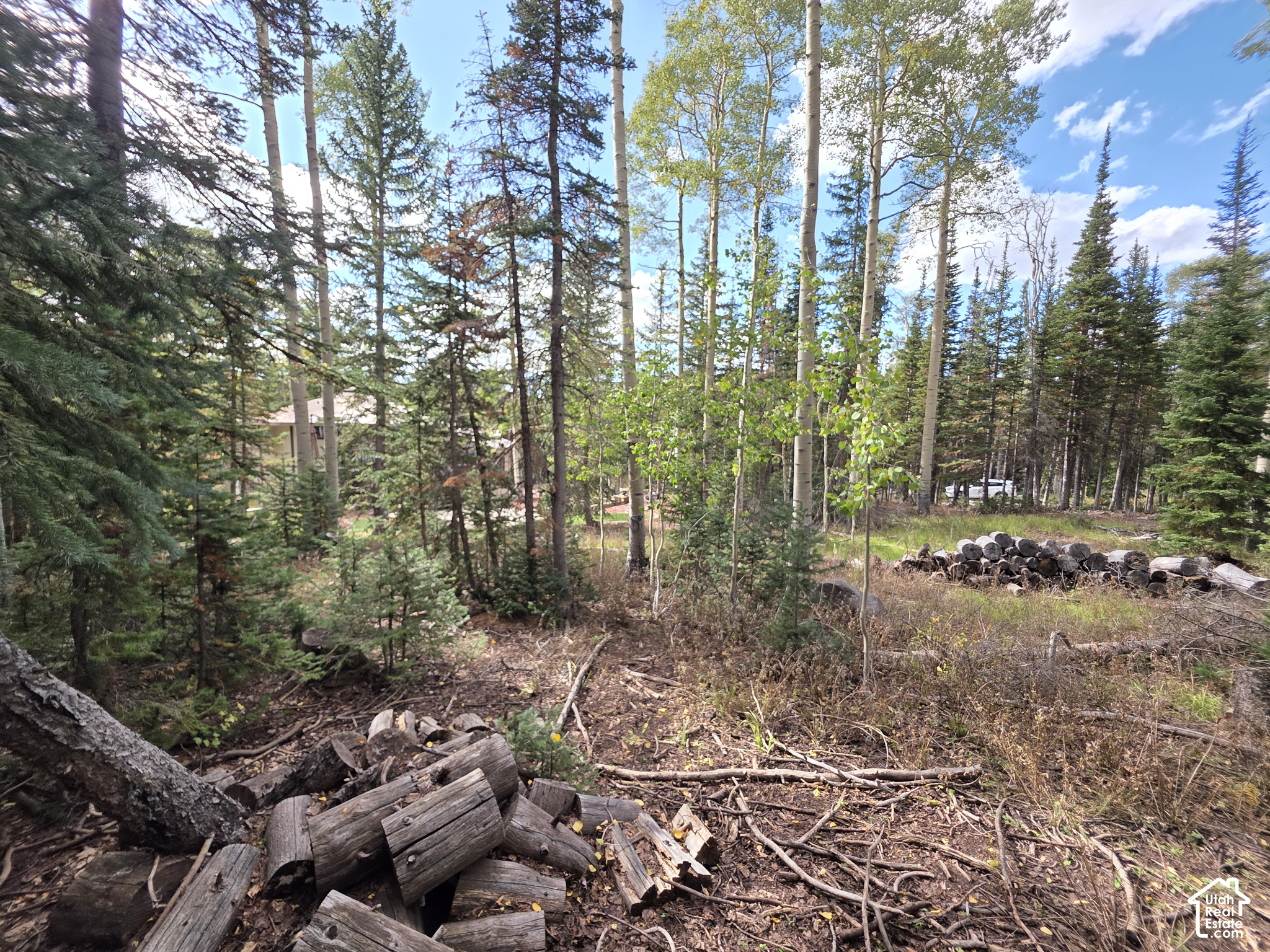 main property photo 12