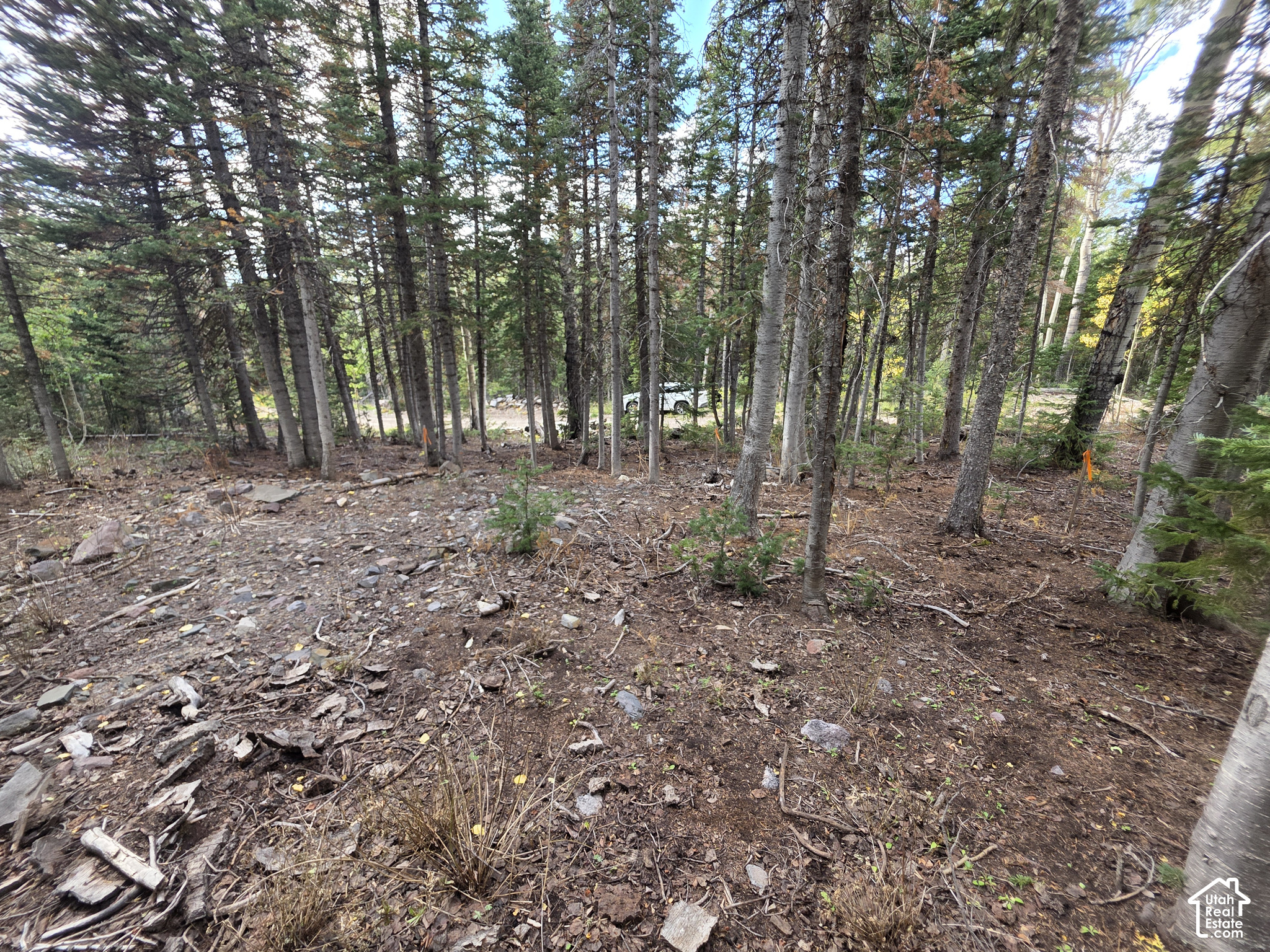 main property photo 13