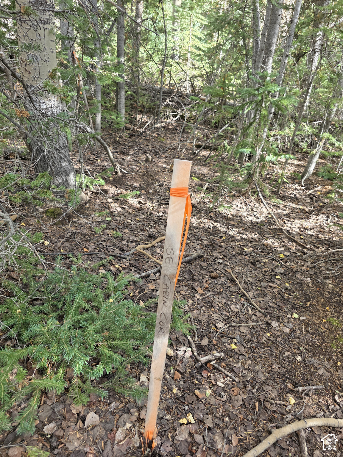 main property photo 14
