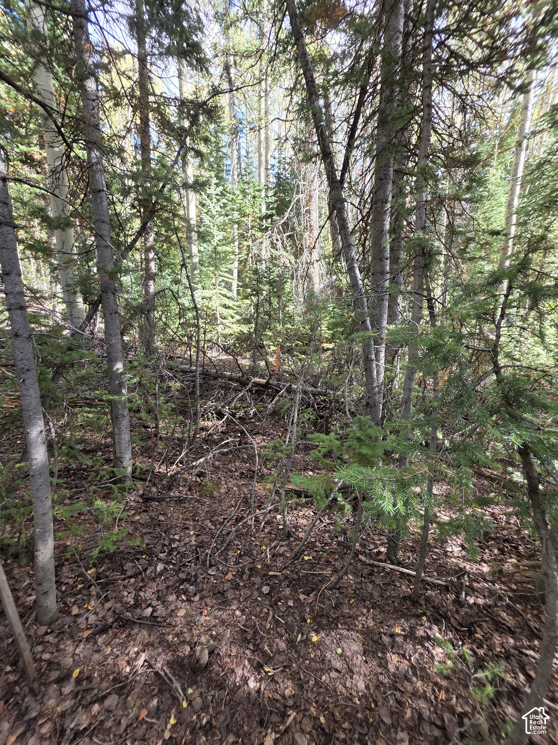 main property photo 15