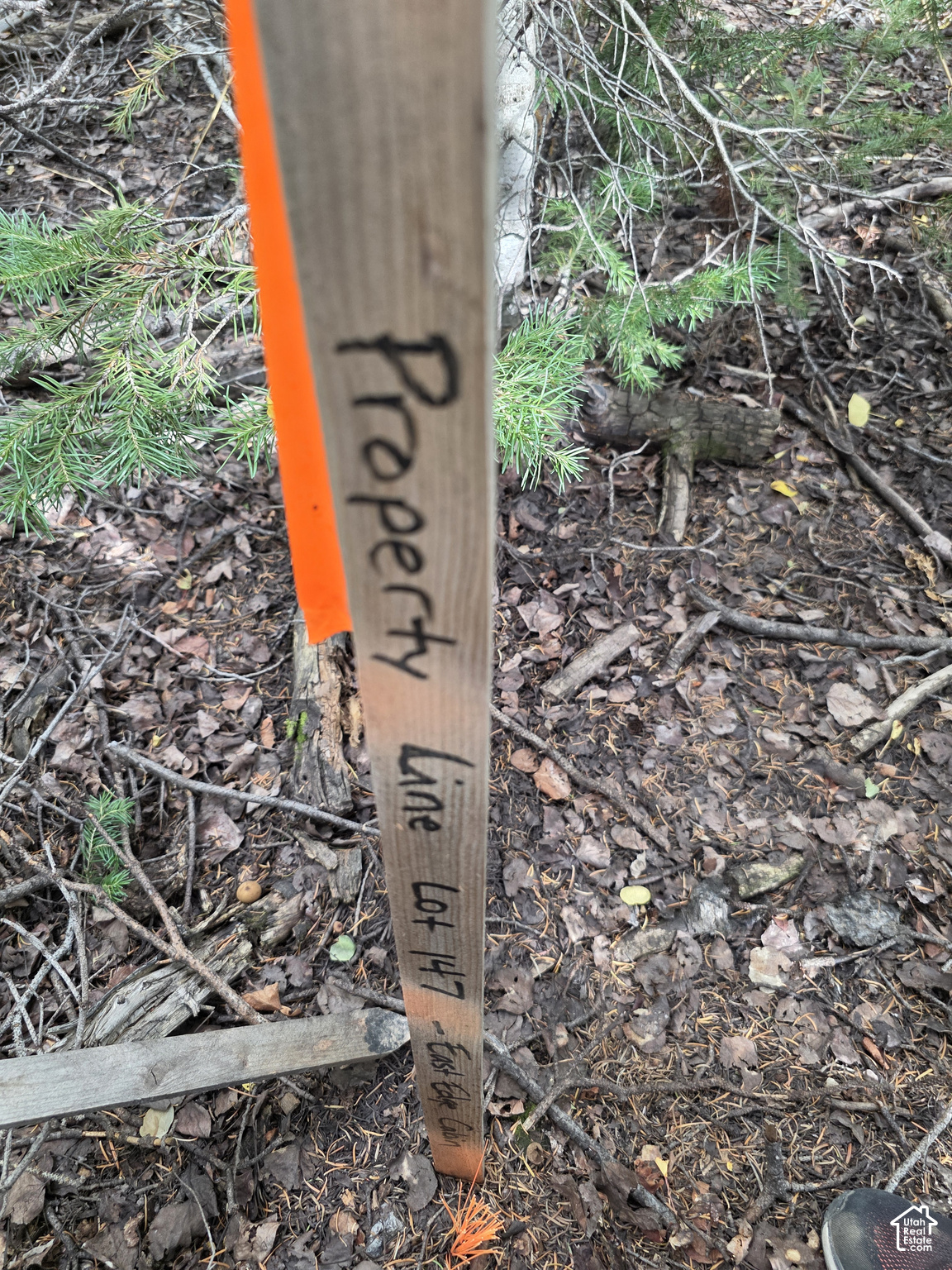 main property photo 17