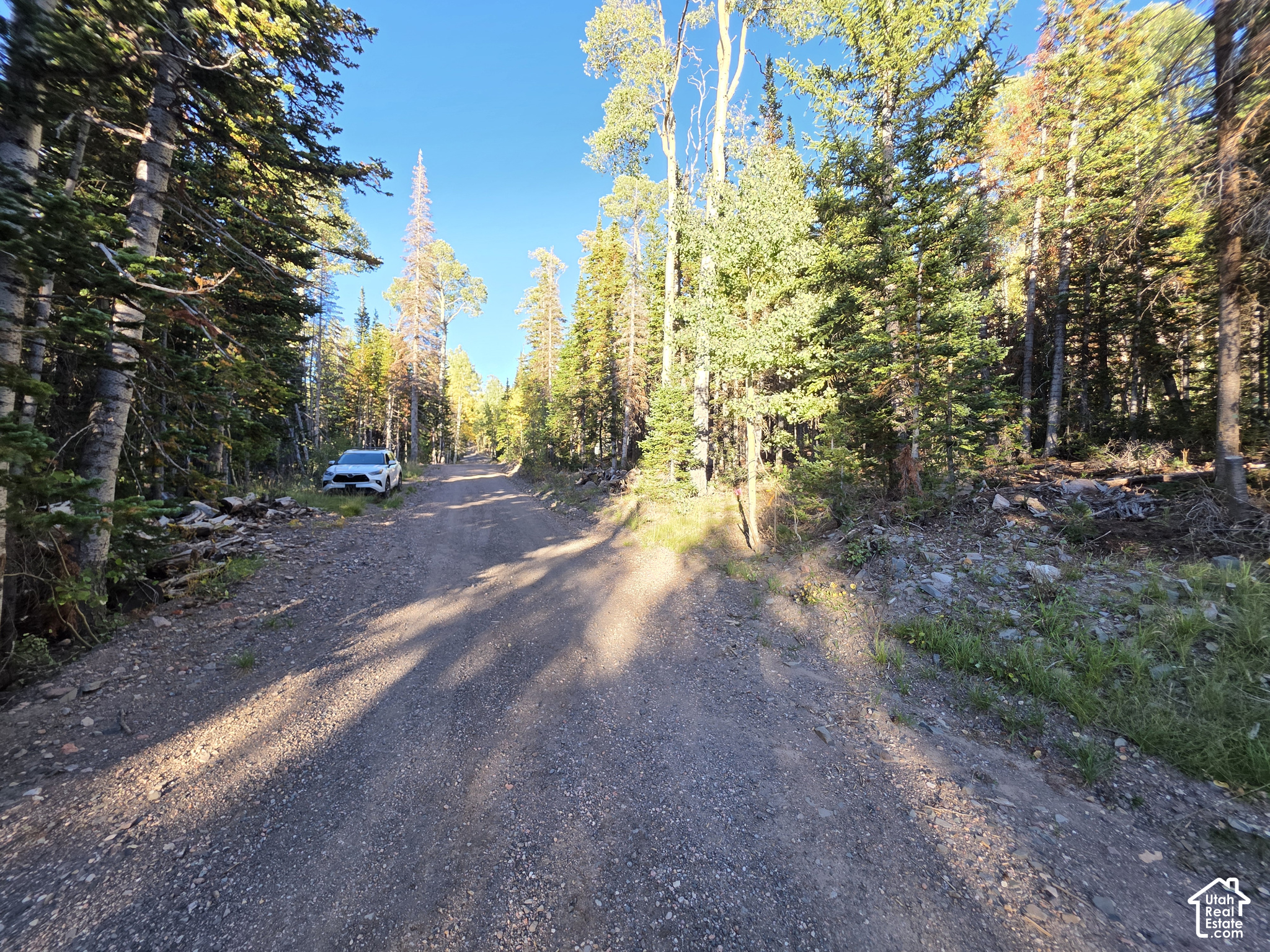 main property photo 25