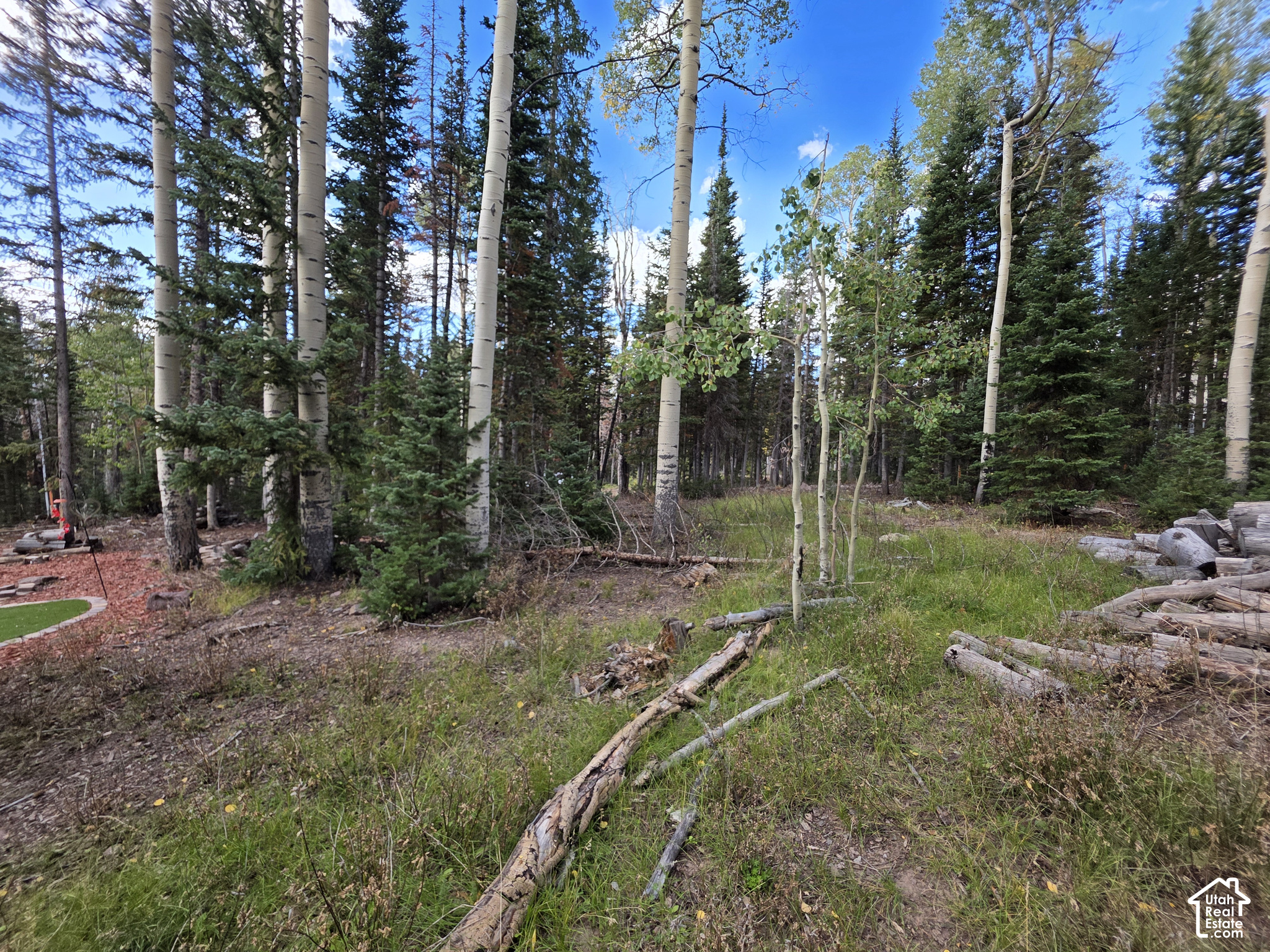 main property photo 9