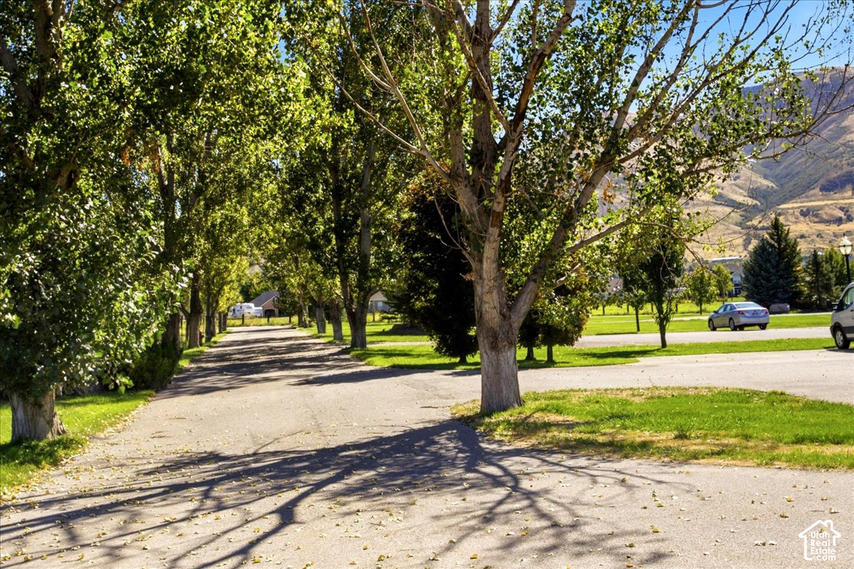 main property photo 53