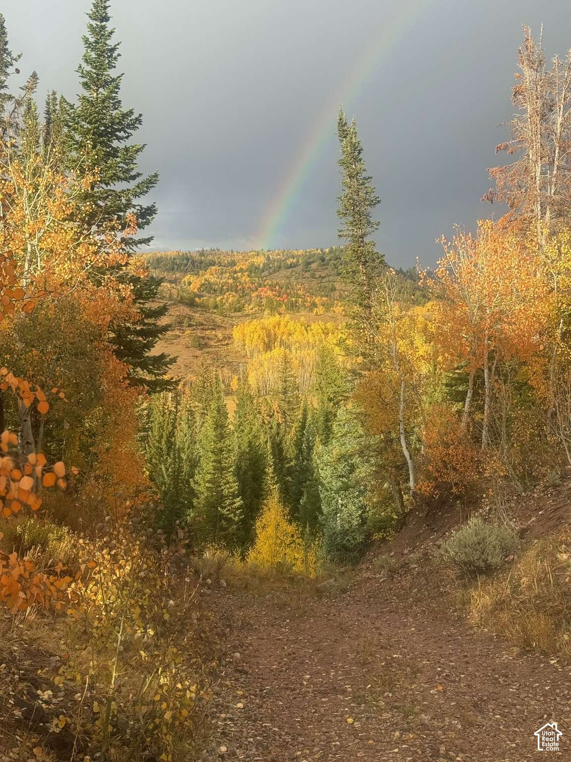 main property photo 37