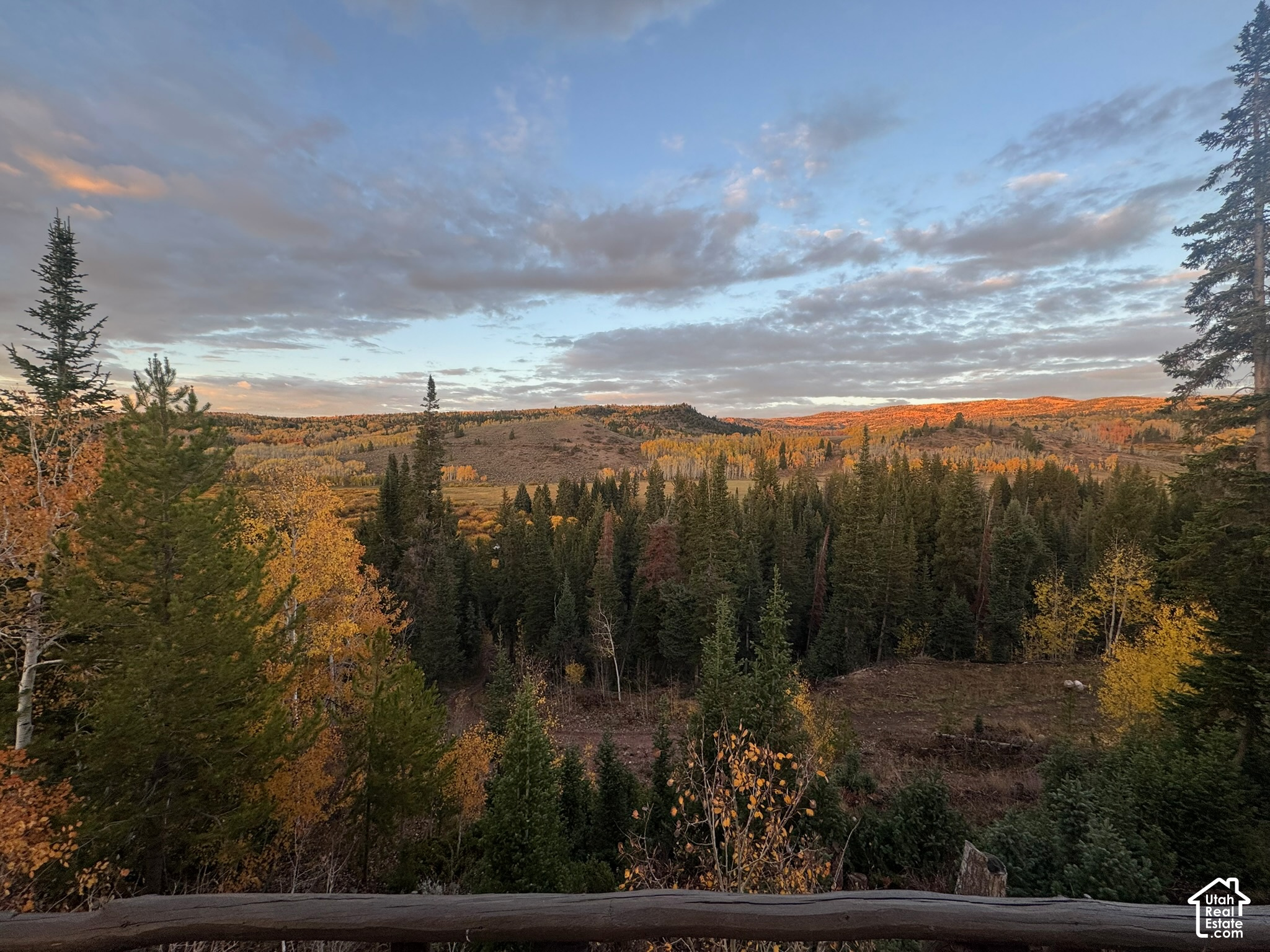 main property photo 39