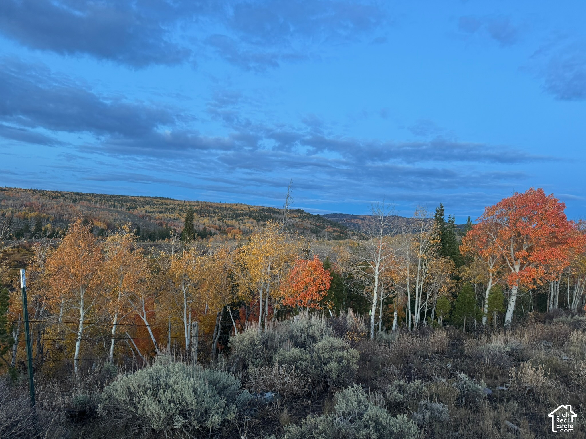 main property photo 48