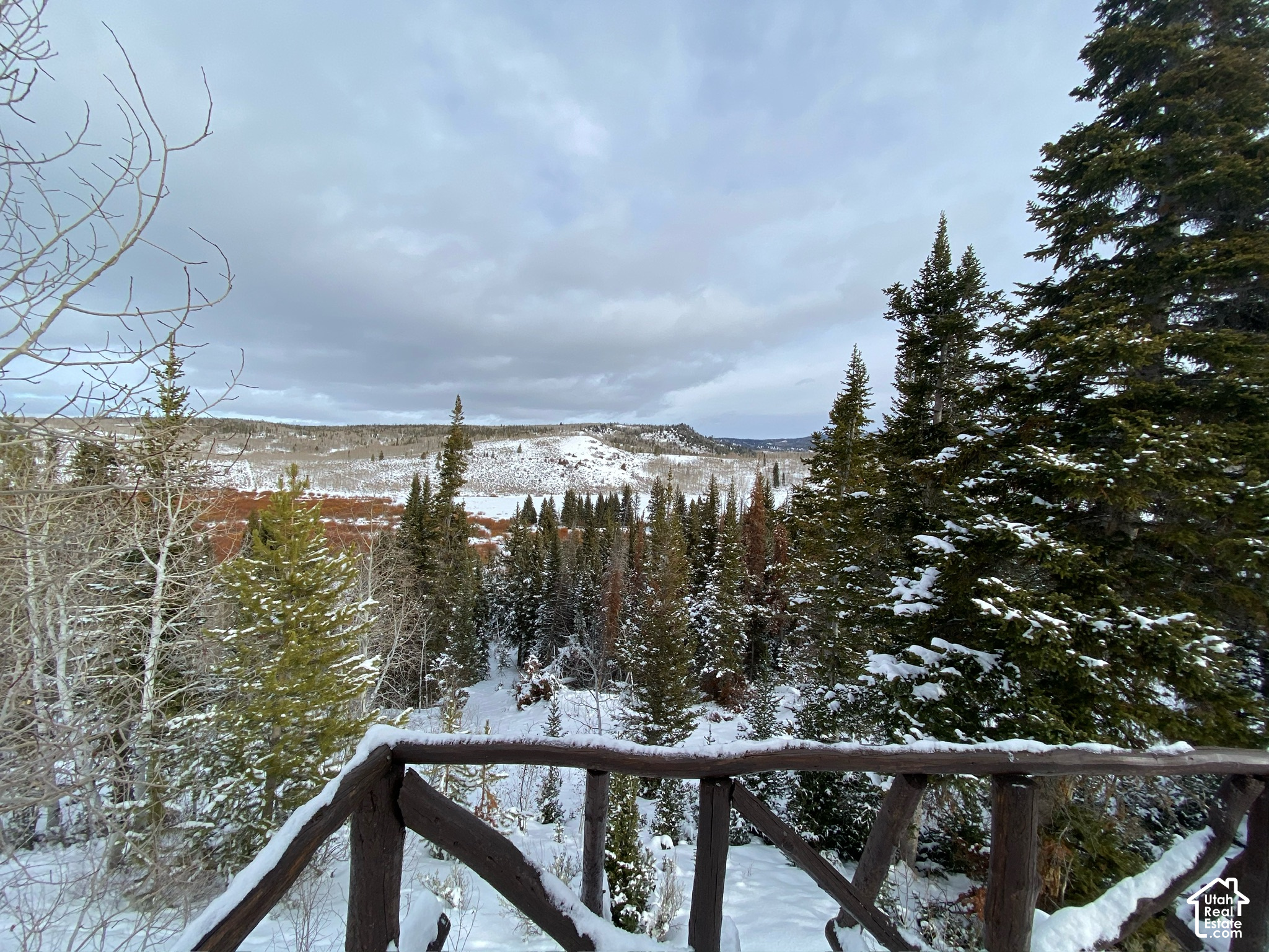 main property photo 61