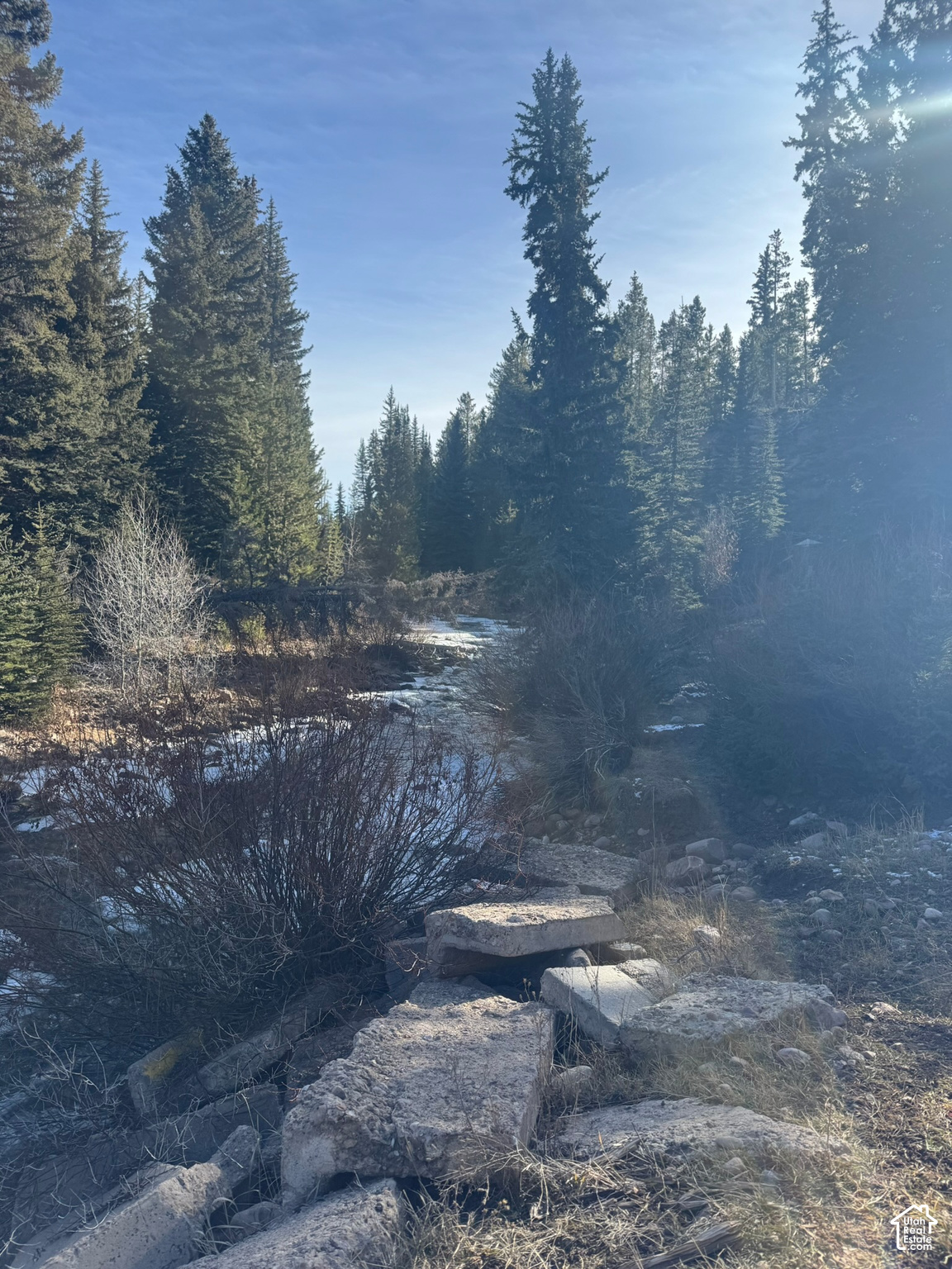 main property photo 62