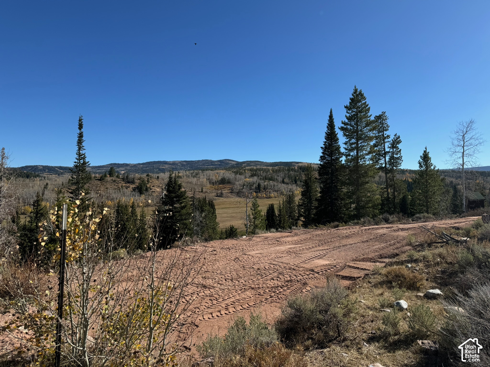 main property photo 67