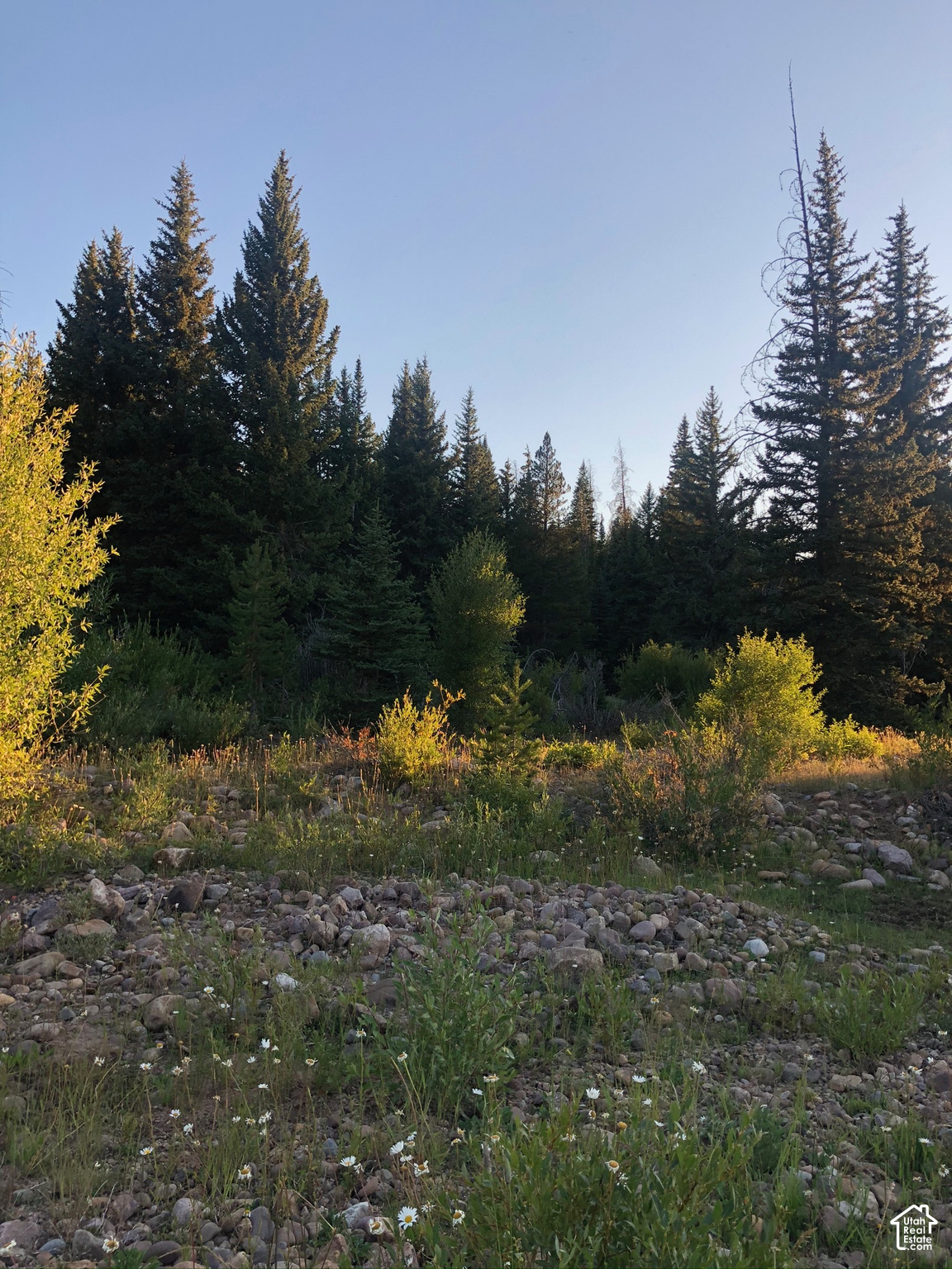 main property photo 68