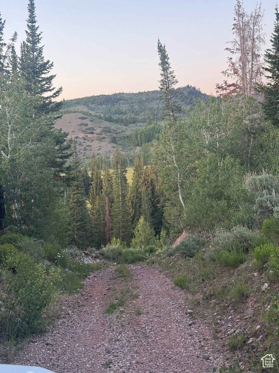 main property photo 71