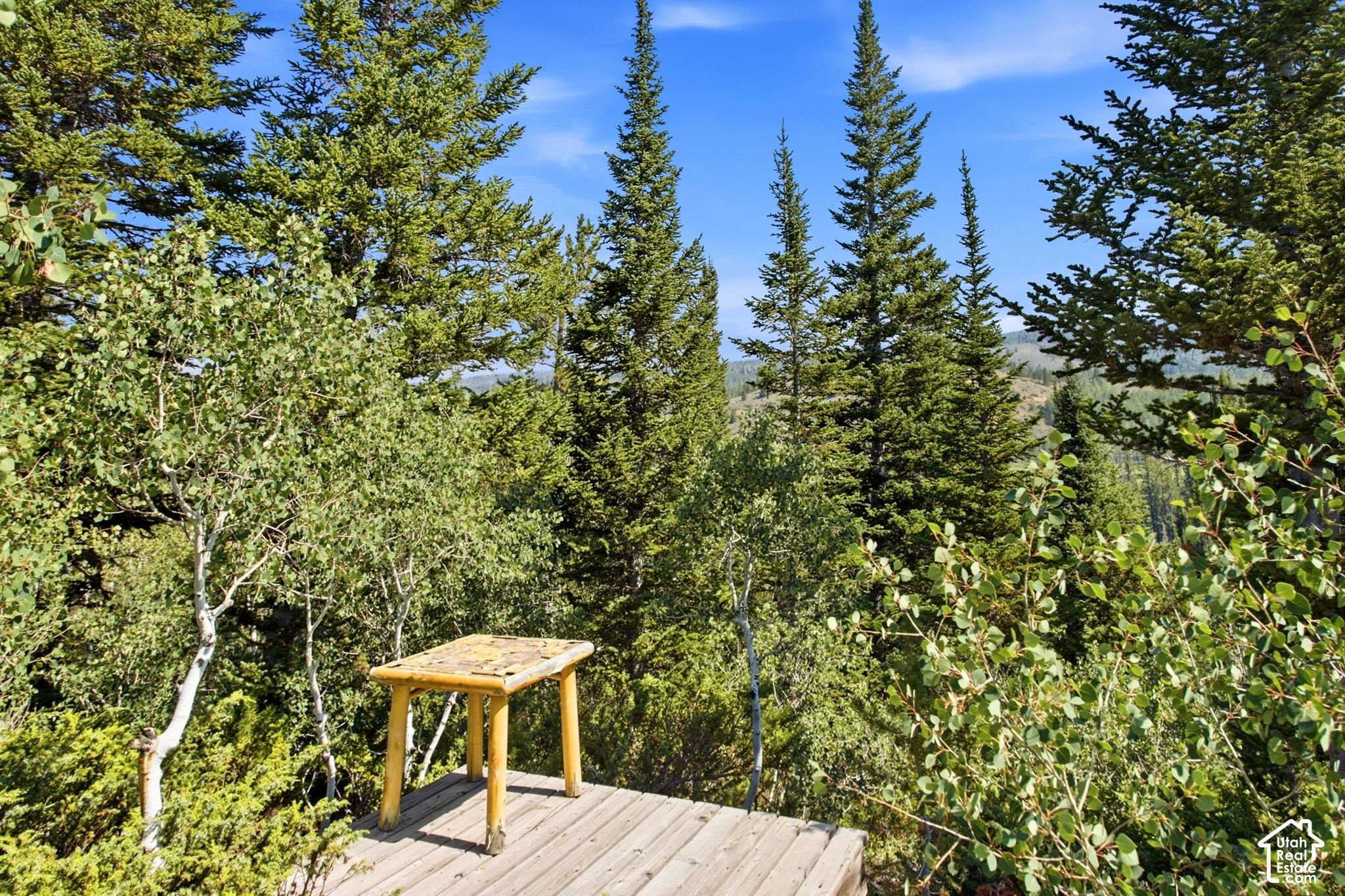 main property photo 76