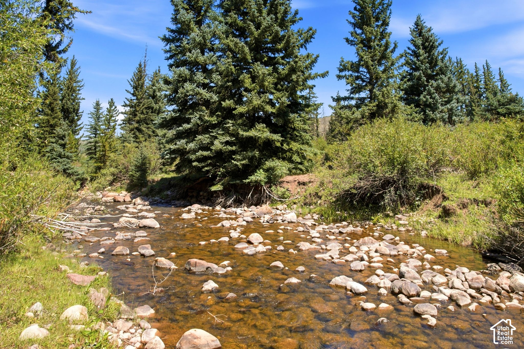 main property photo 98