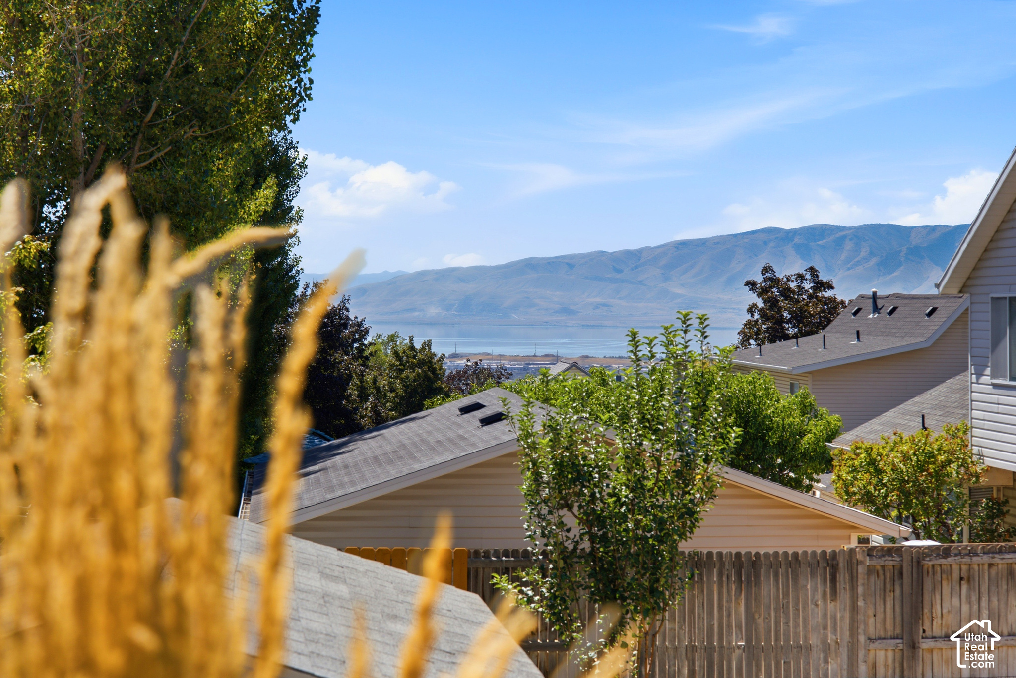 main property photo 58