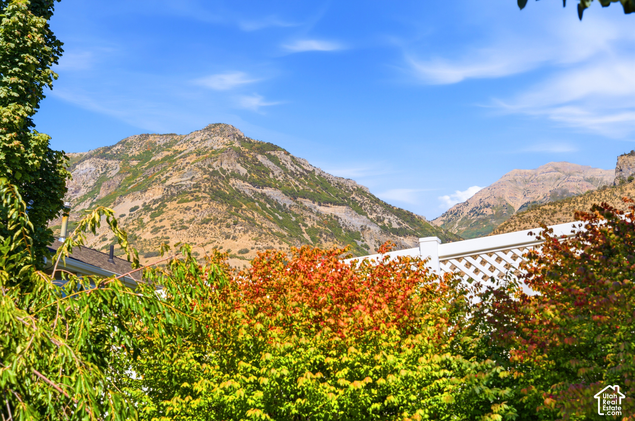 main property photo 60